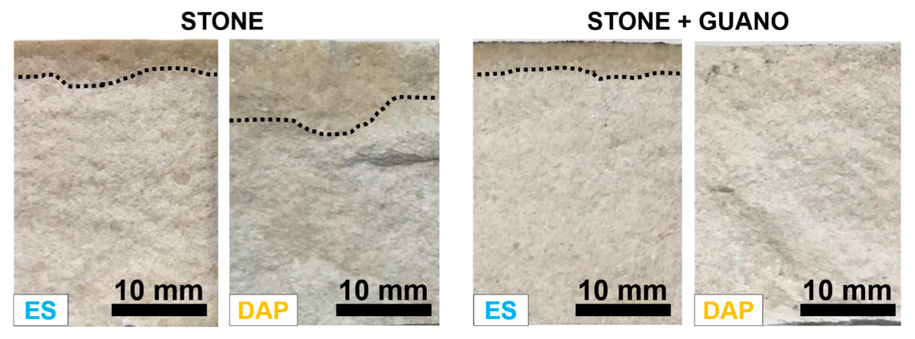 Coatings 10 00250 g006