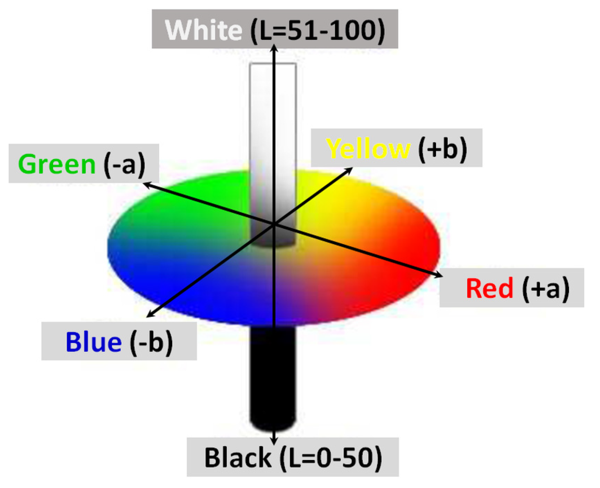 Coatings 10 00251 g002