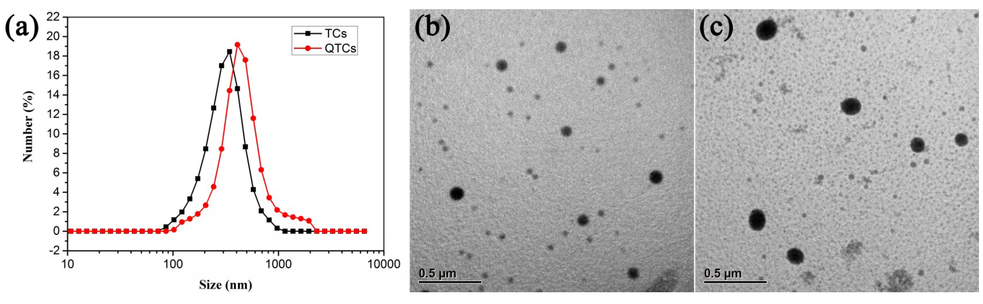Coatings 10 00256 g003