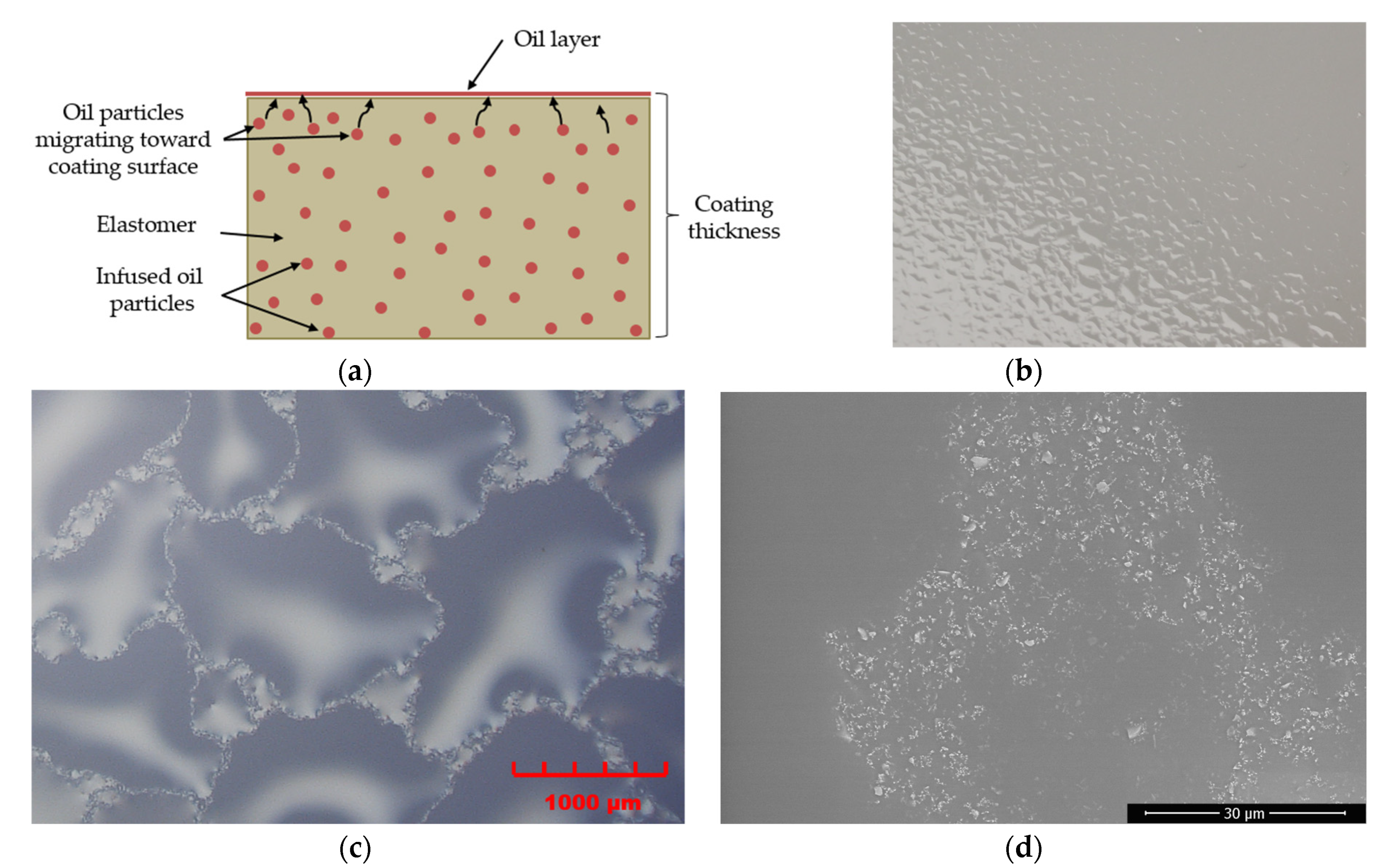 Coatings 10 00262 g002 Coatings 10 00262 g002