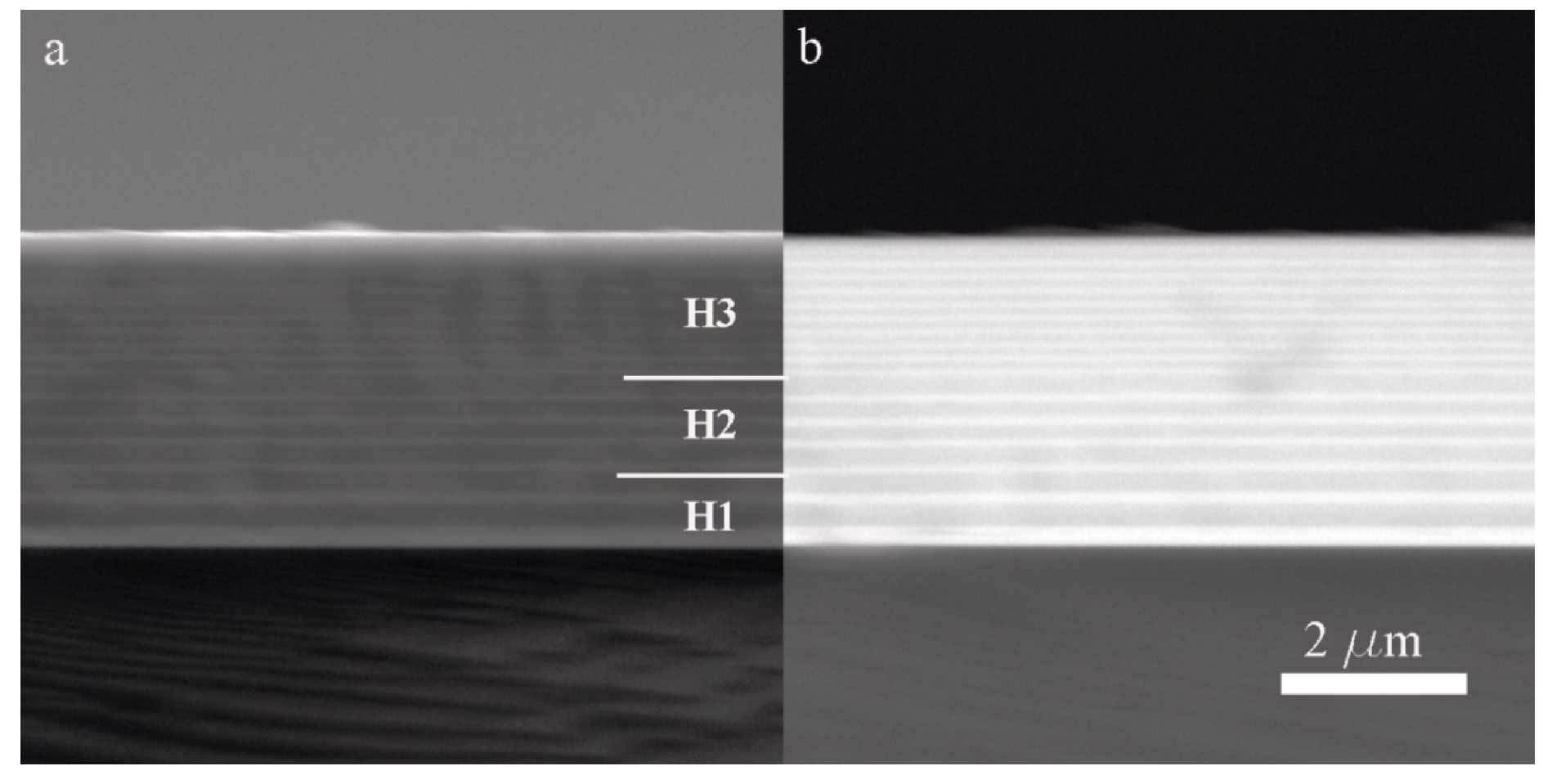 Coatings 10 00263 g002