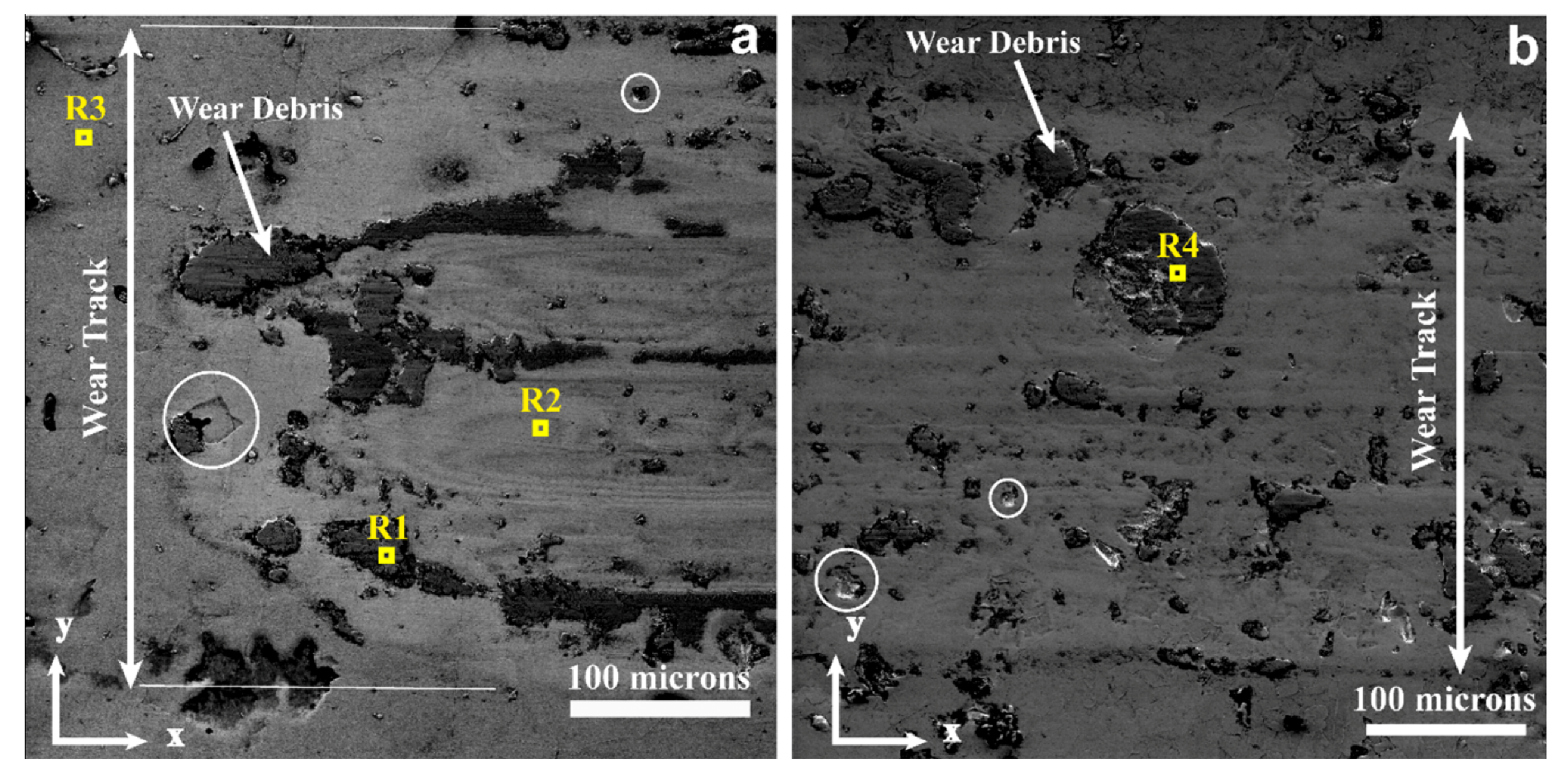 Coatings 10 00263 g009