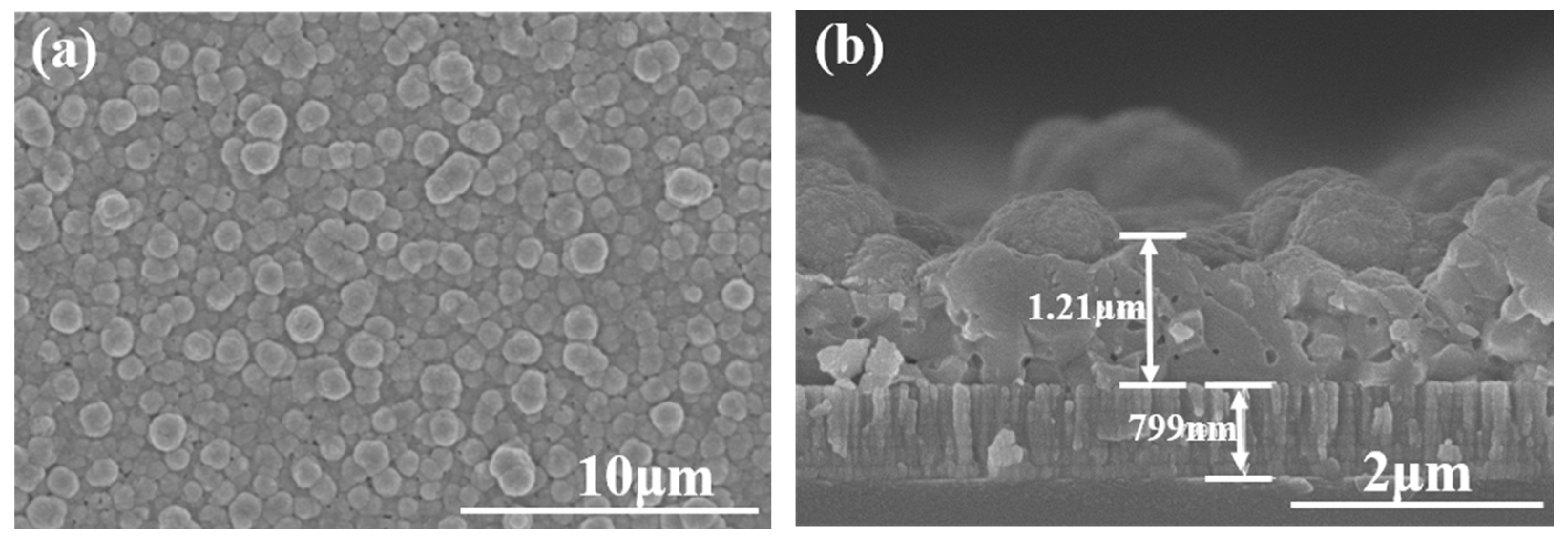 Coatings 10 00266 g004 Coatings 10 00266 g004