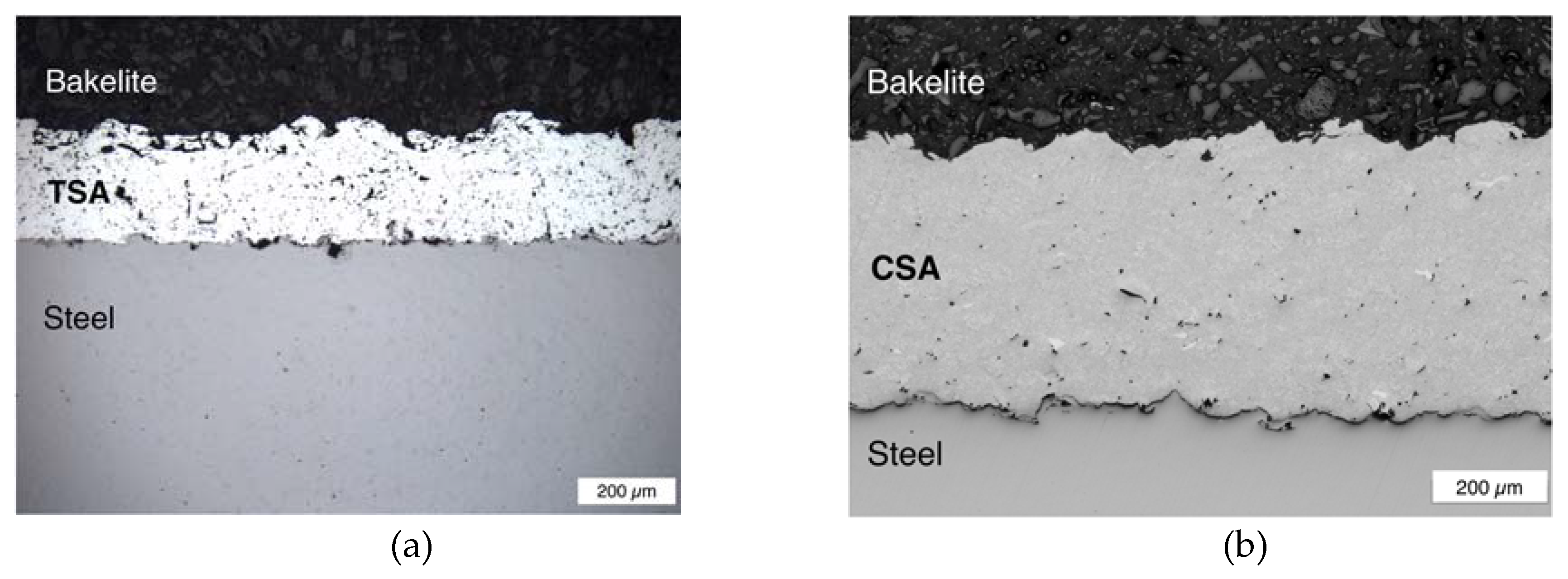 Coatings 10 00267 g003 Coatings 10 00267 g003
