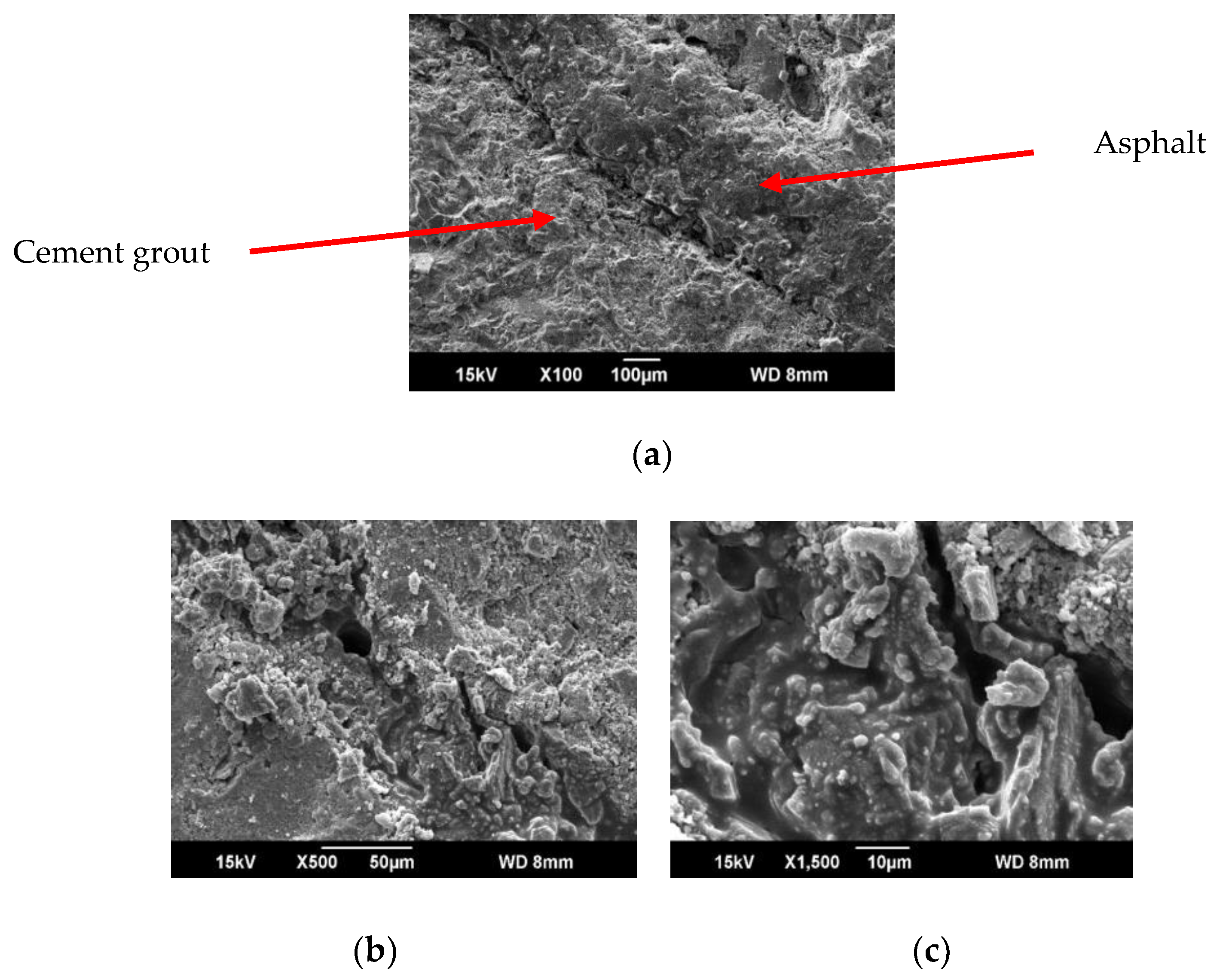 Coatings 10 00268 g003