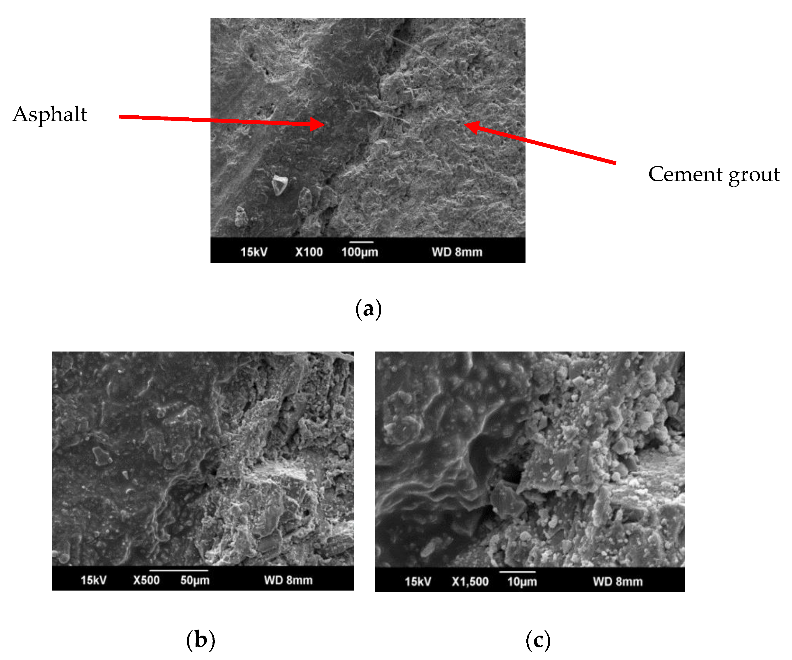 Coatings 10 00268 g004