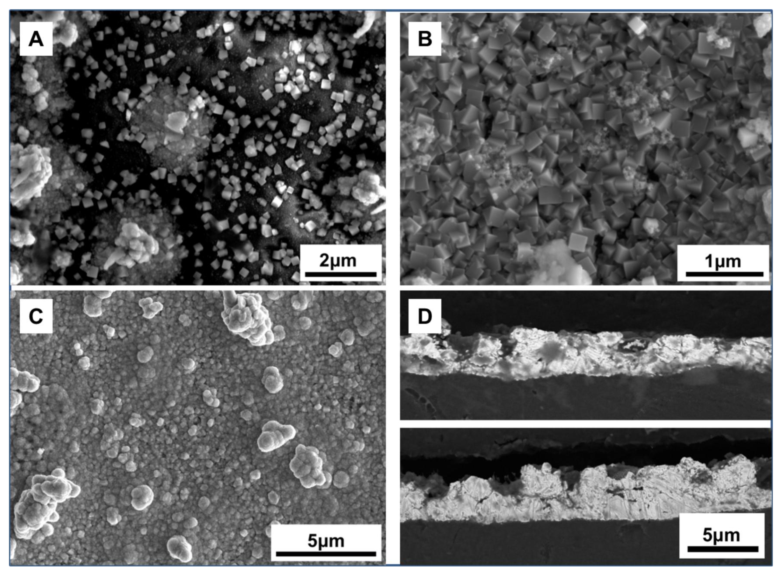 Coatings 10 00271 g006