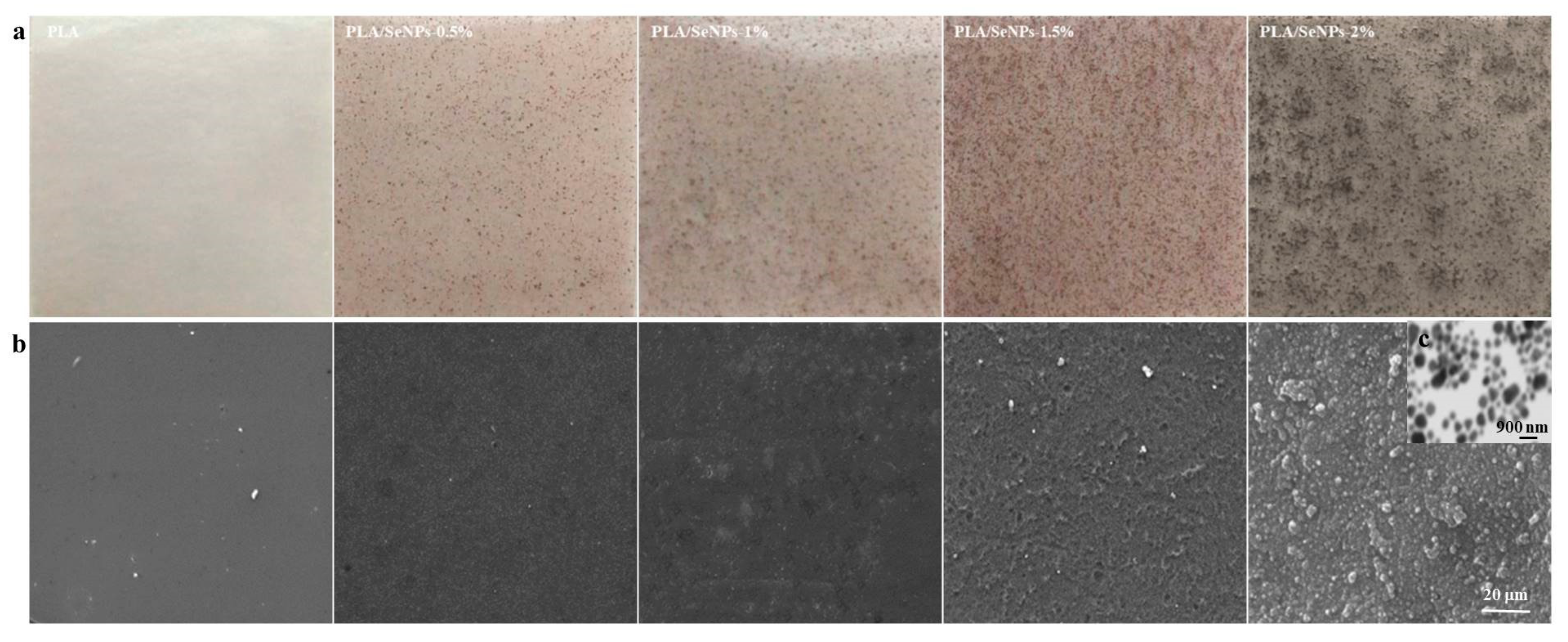 Coatings 10 00280 g002 Coatings 10 00280 g002