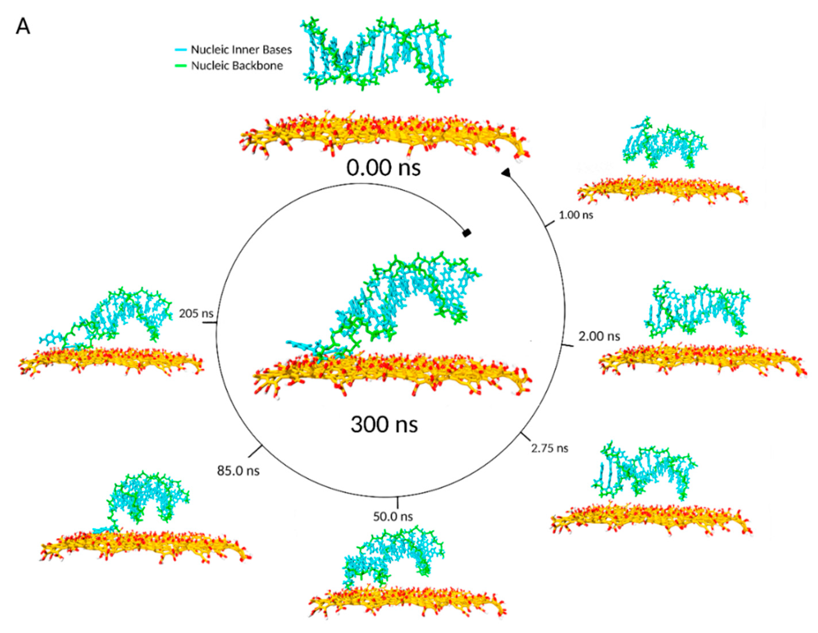 Coatings 10 00289 g007