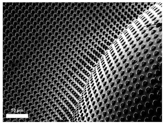 Coatings 10 00301 g0a2