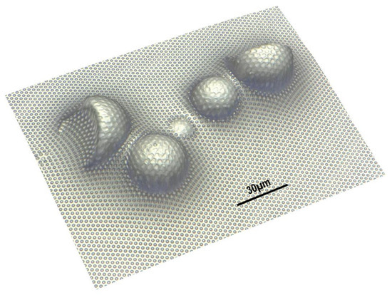 Coatings 10 00301 g0a3