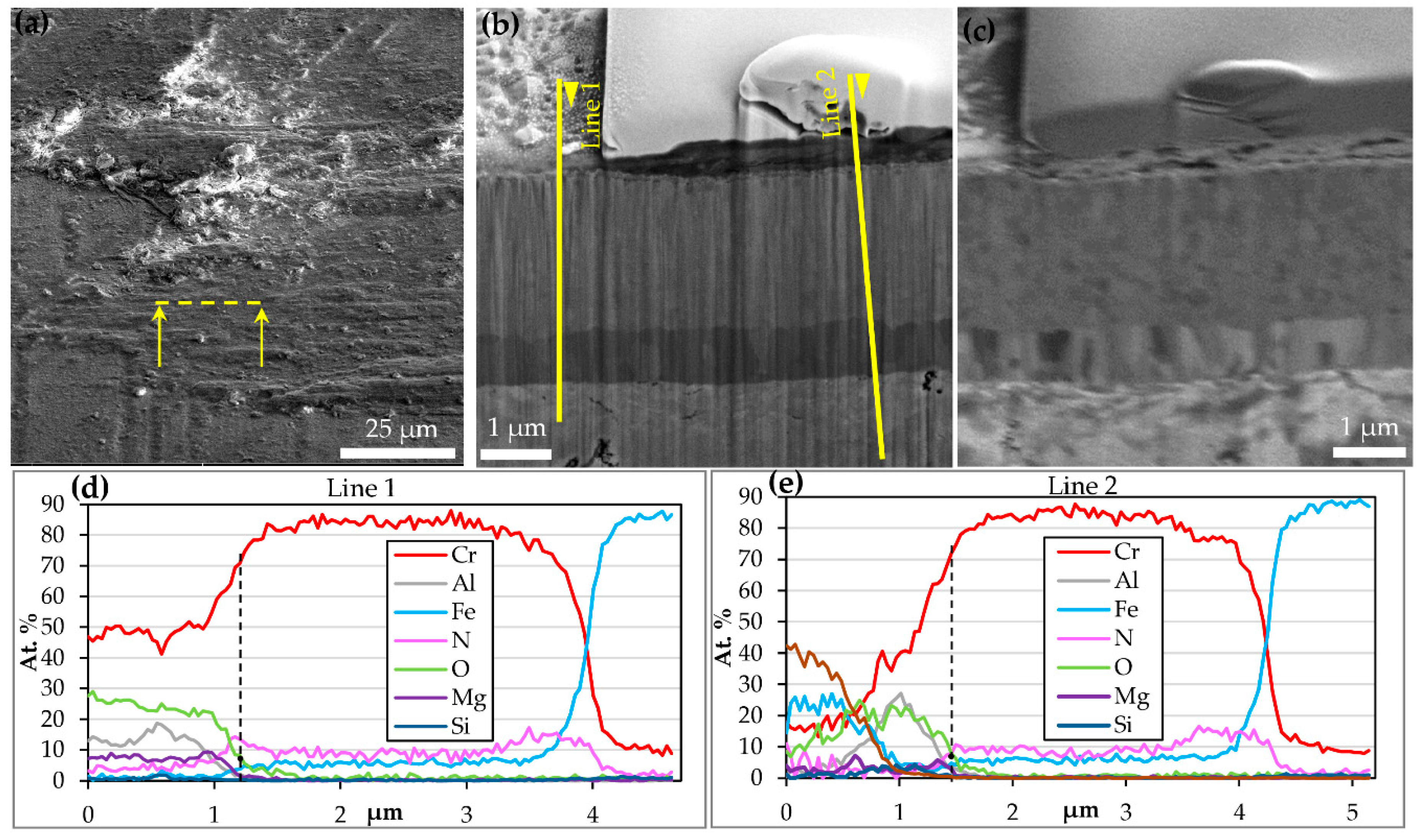 Coatings 10 00303 g005