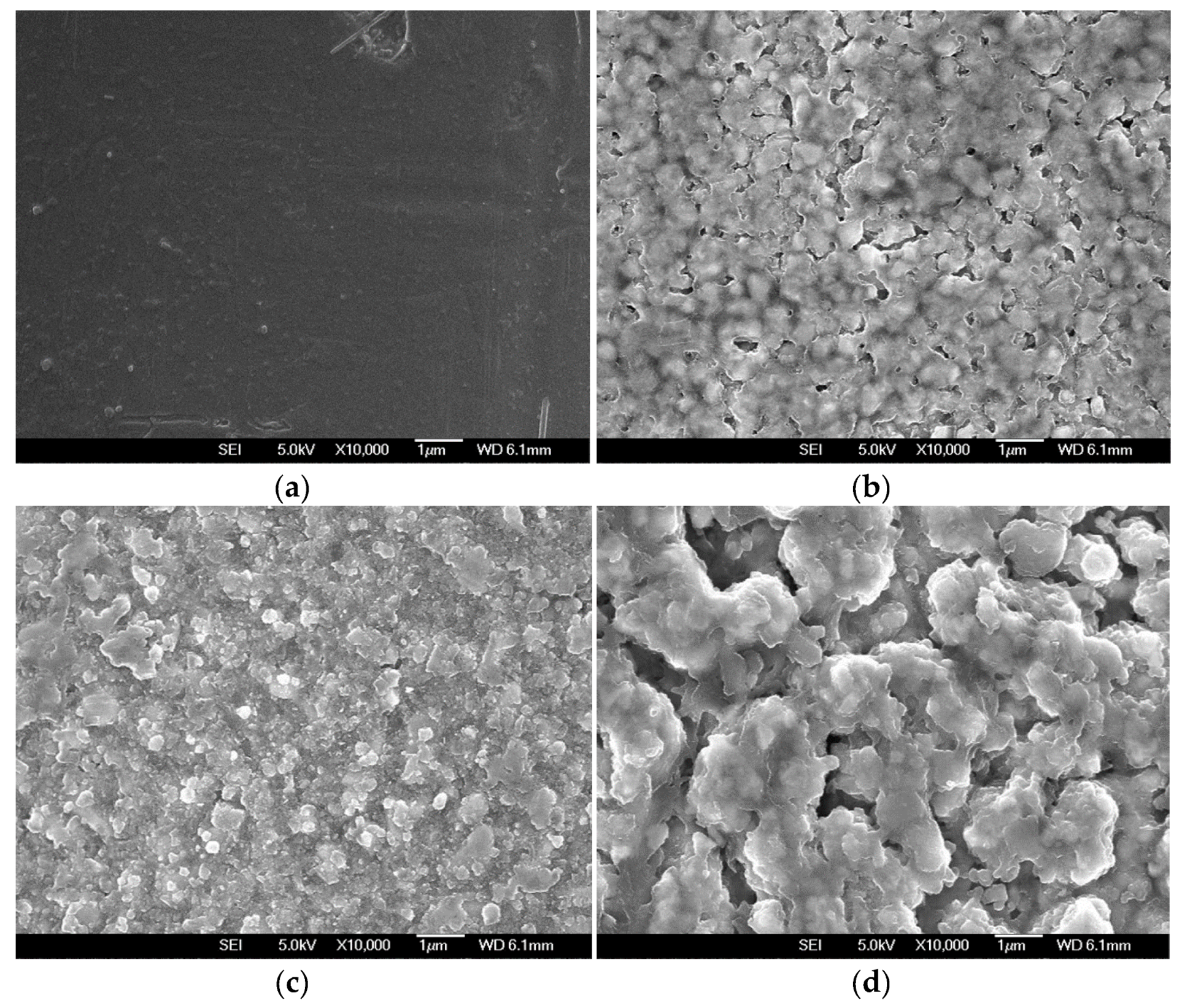 Coatings 10 00317 g004