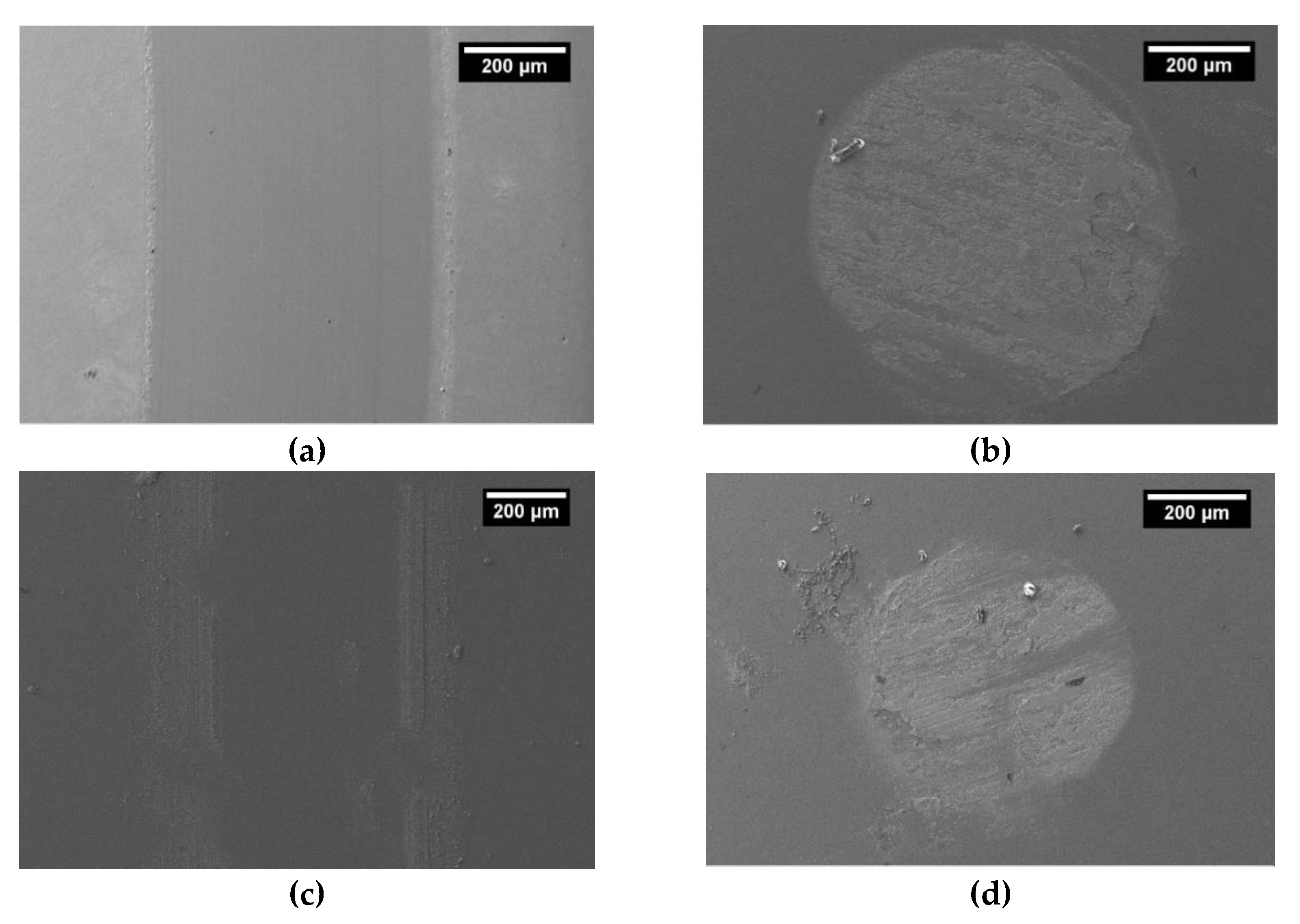 Coatings 10 00319 g008a Coatings 10 00319 g008a