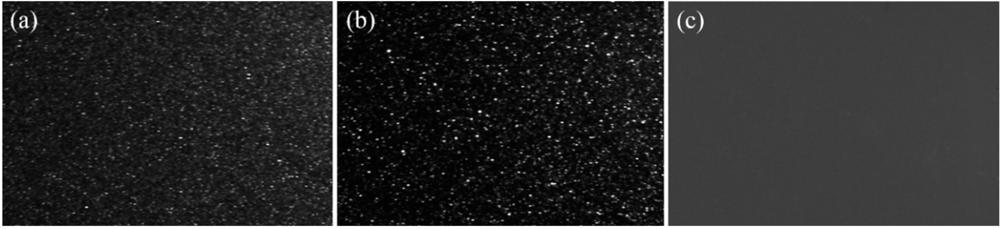 Coatings 10 00320 g004 Coatings 10 00320 g004