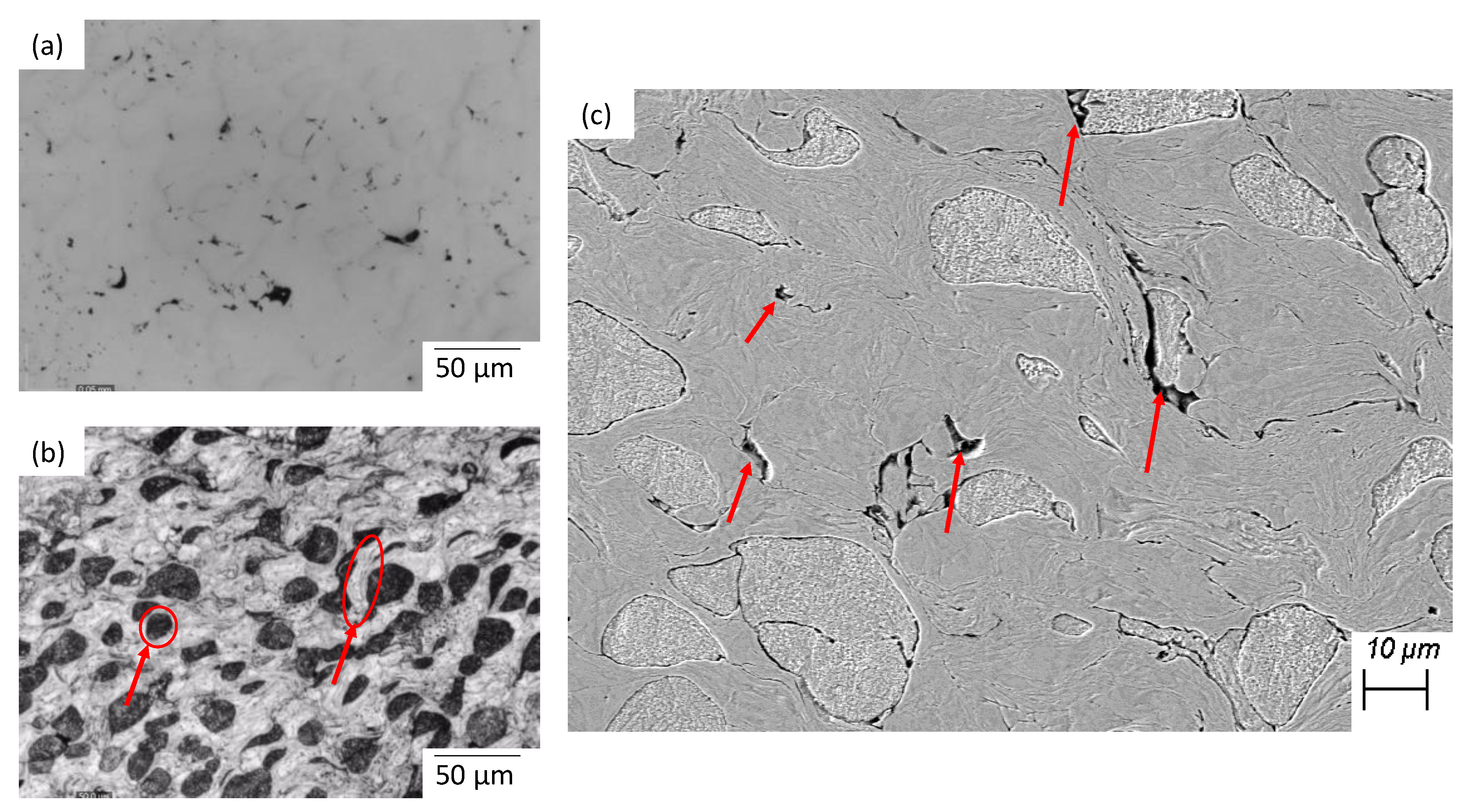 Coatings 10 00335 g003