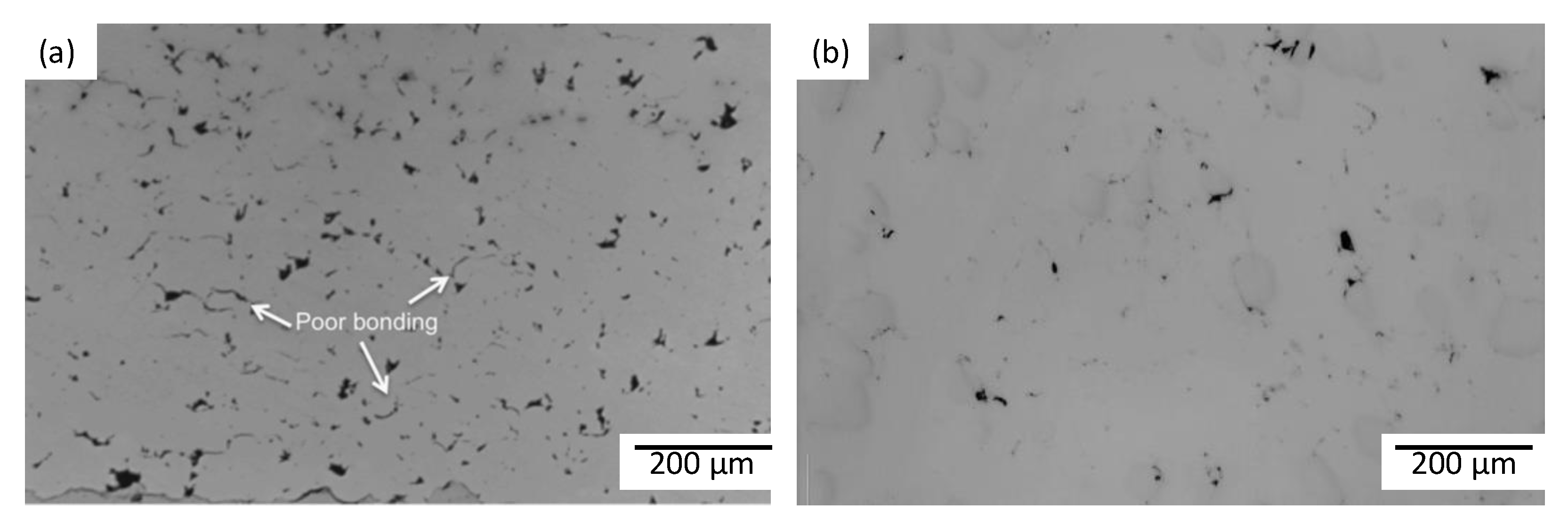 Coatings 10 00335 g004