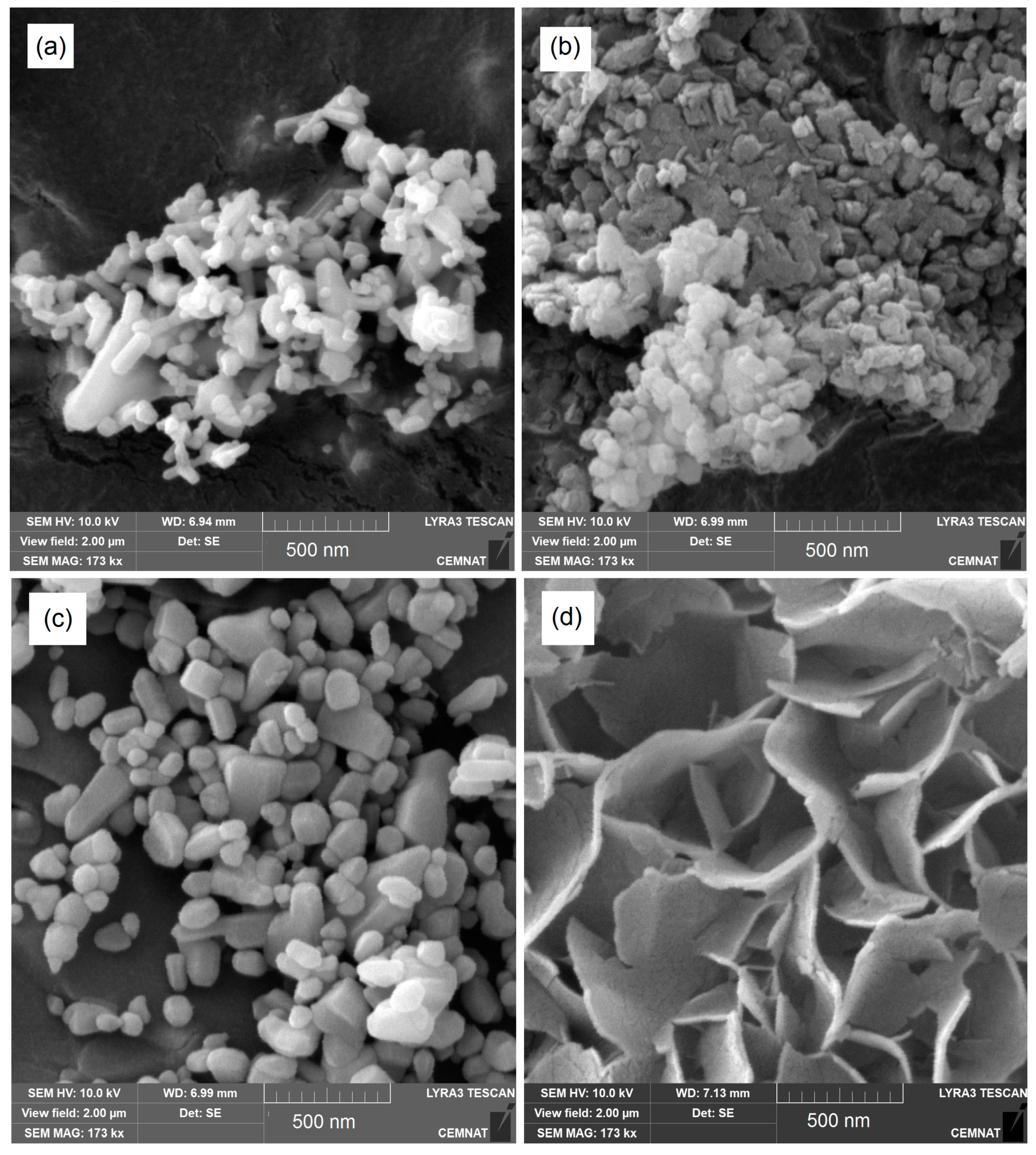 Coatings 10 00339 g002