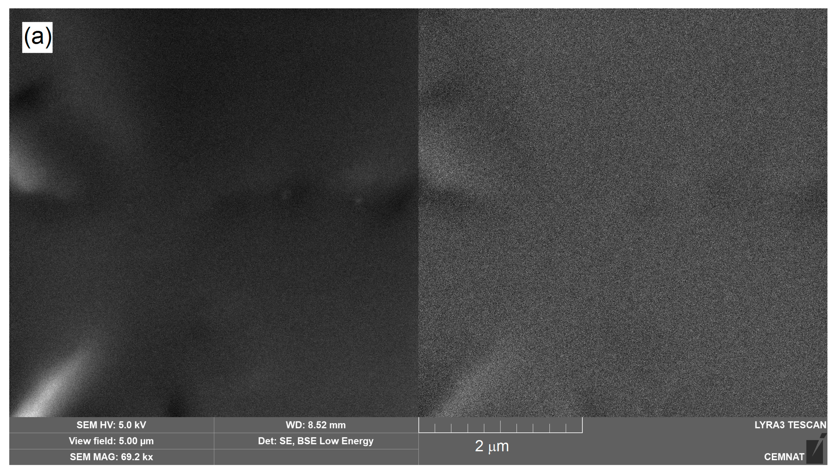 Coatings 10 00339 g003a