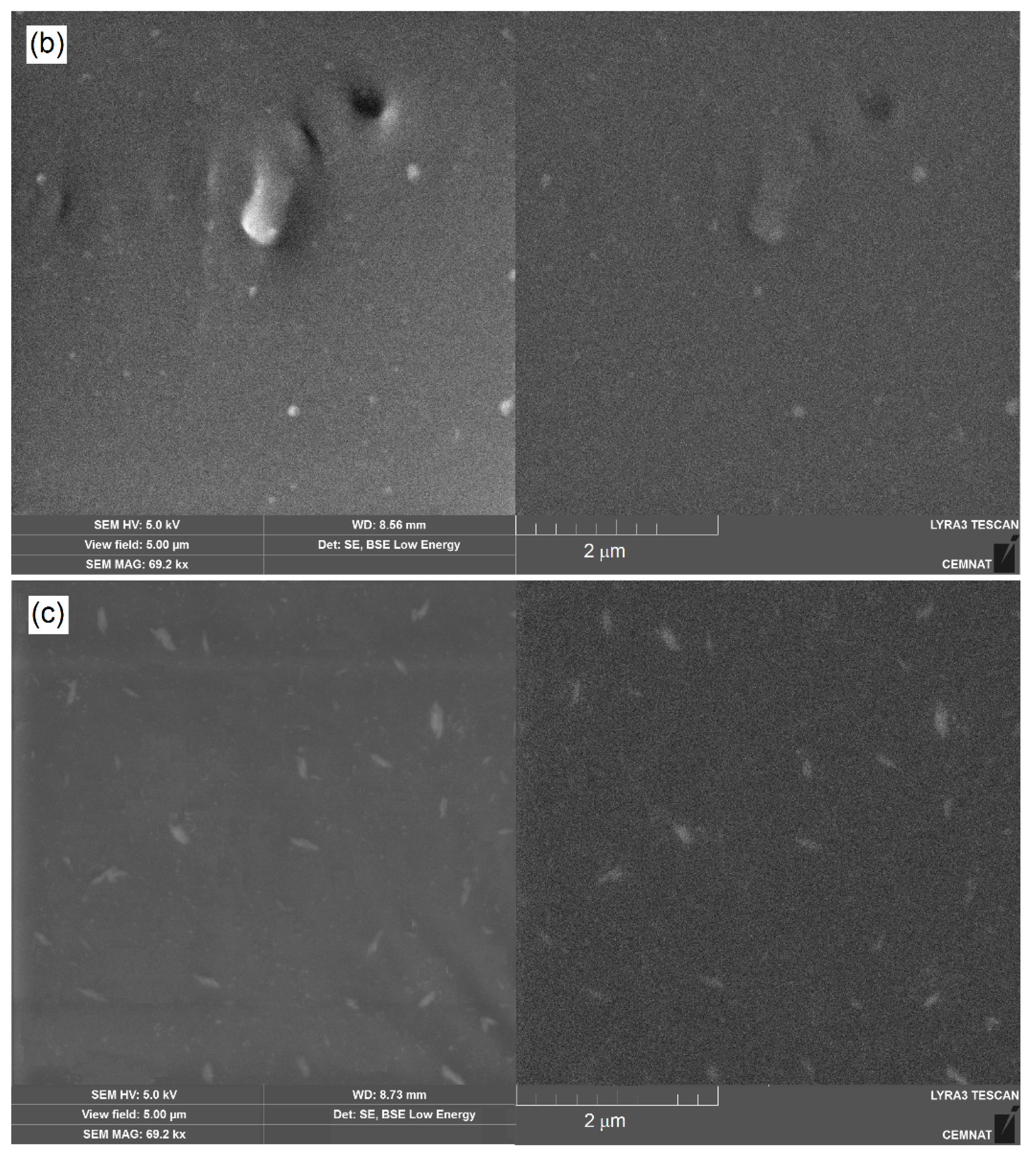 Coatings 10 00339 g003b