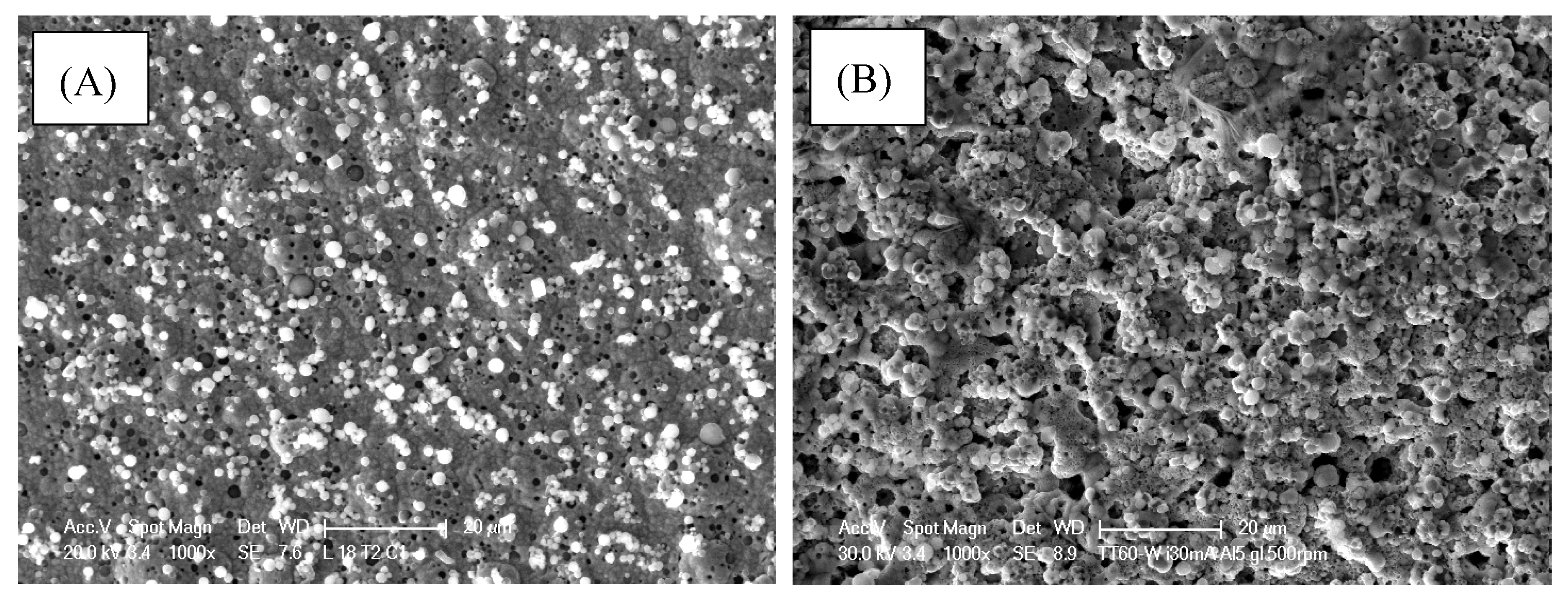 Coatings 10 00346 g002