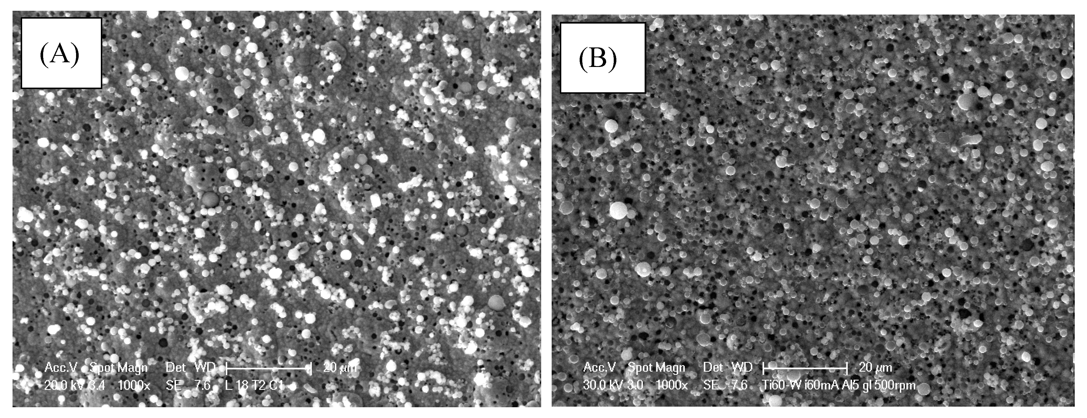 Coatings 10 00346 g006