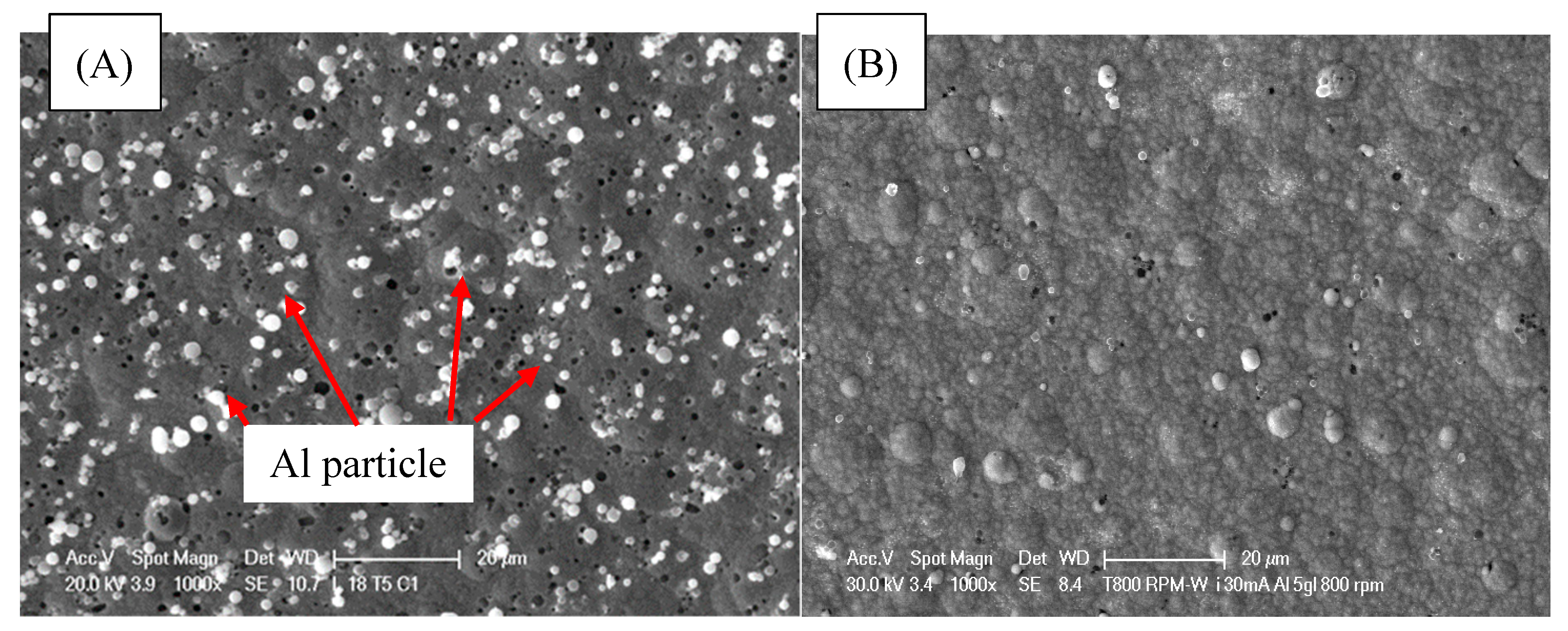 Coatings 10 00346 g010