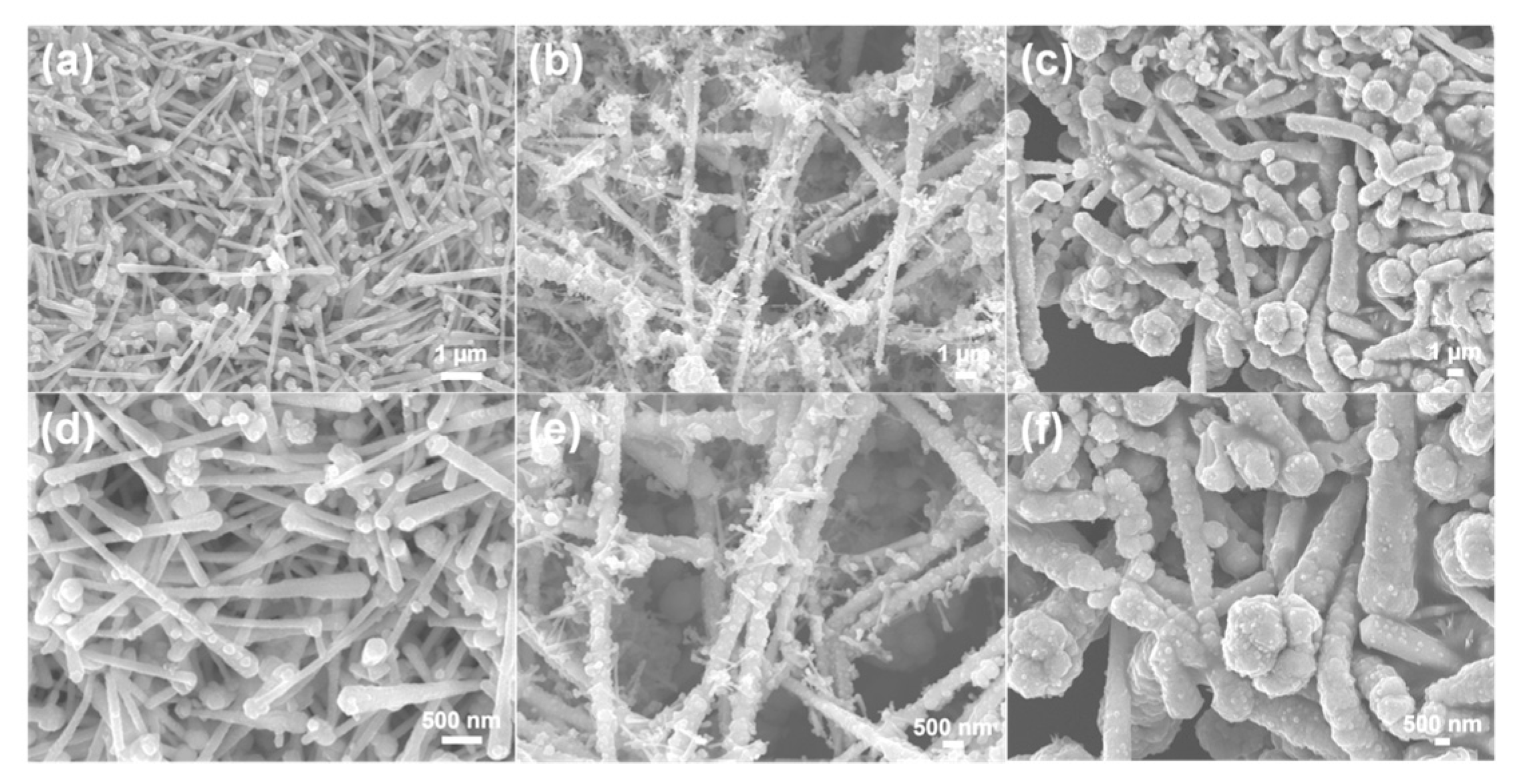 Coatings 10 00347 g001 Coatings 10 00347 g001
