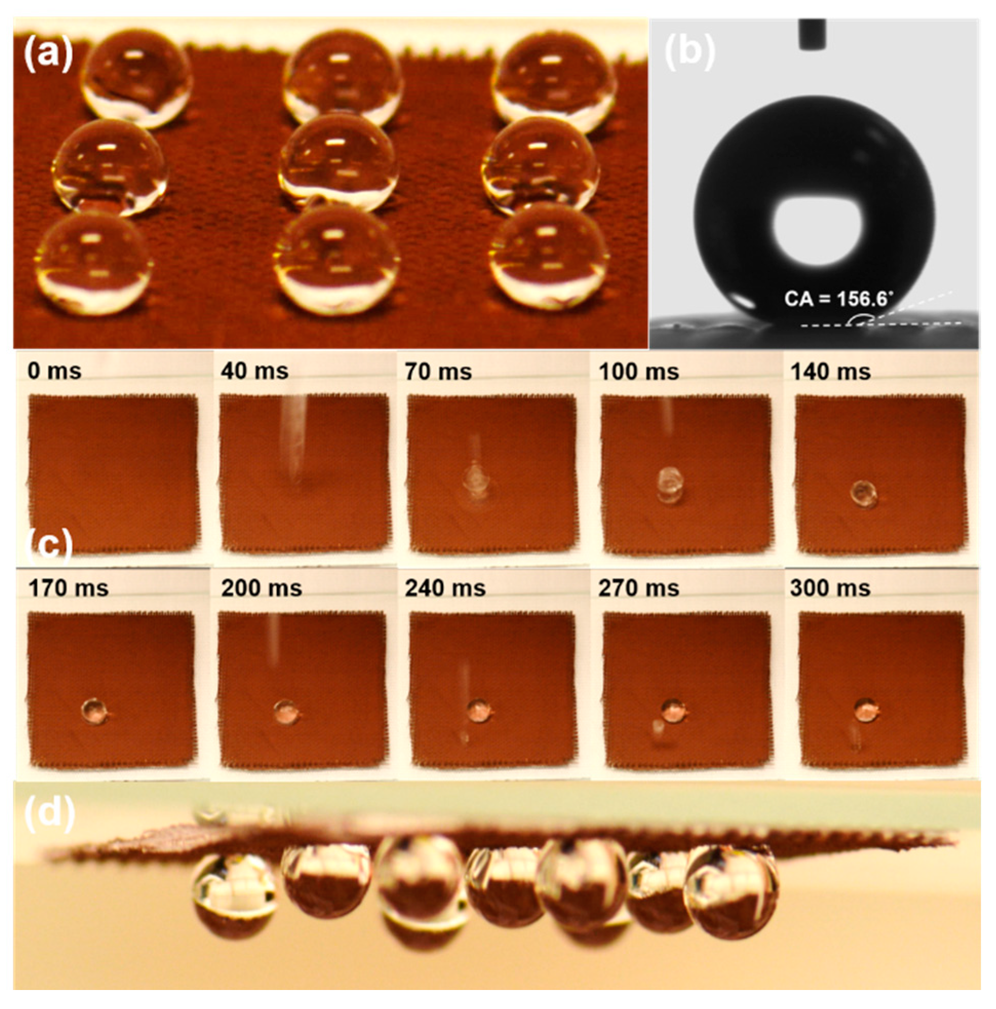 Coatings 10 00347 g004 Coatings 10 00347 g004