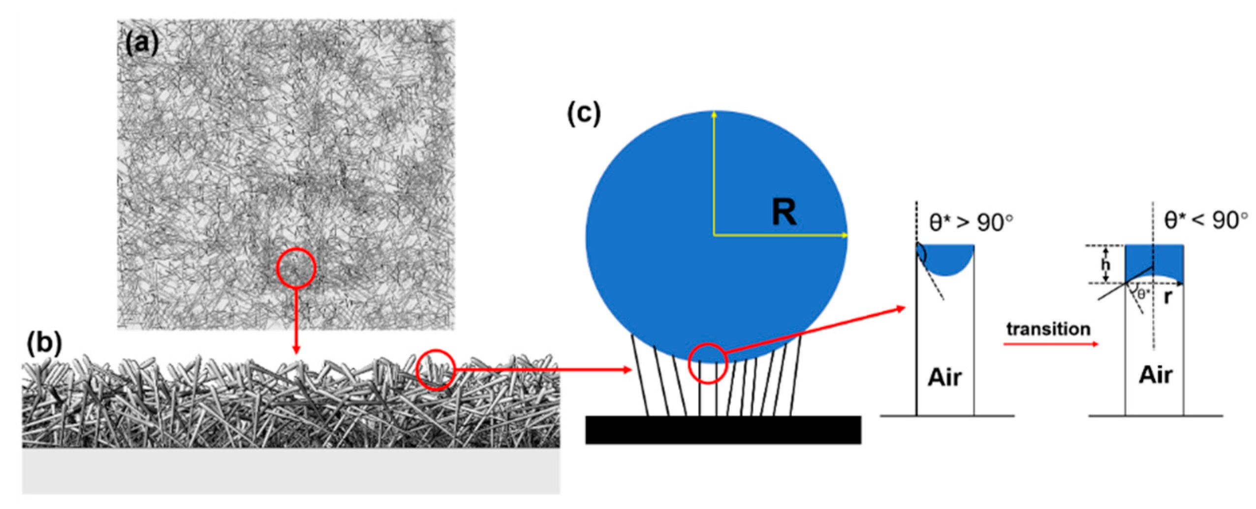 Coatings 10 00347 g005 Coatings 10 00347 g005