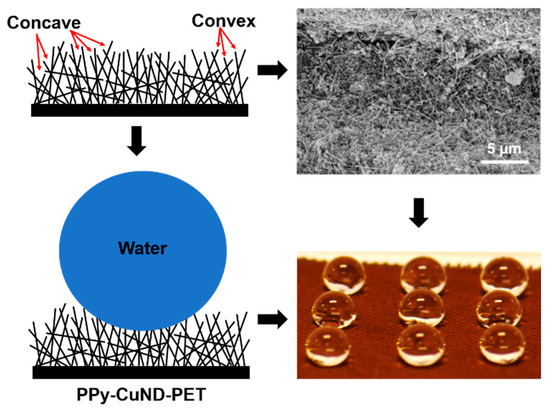 Coatings 10 00347 g0a1