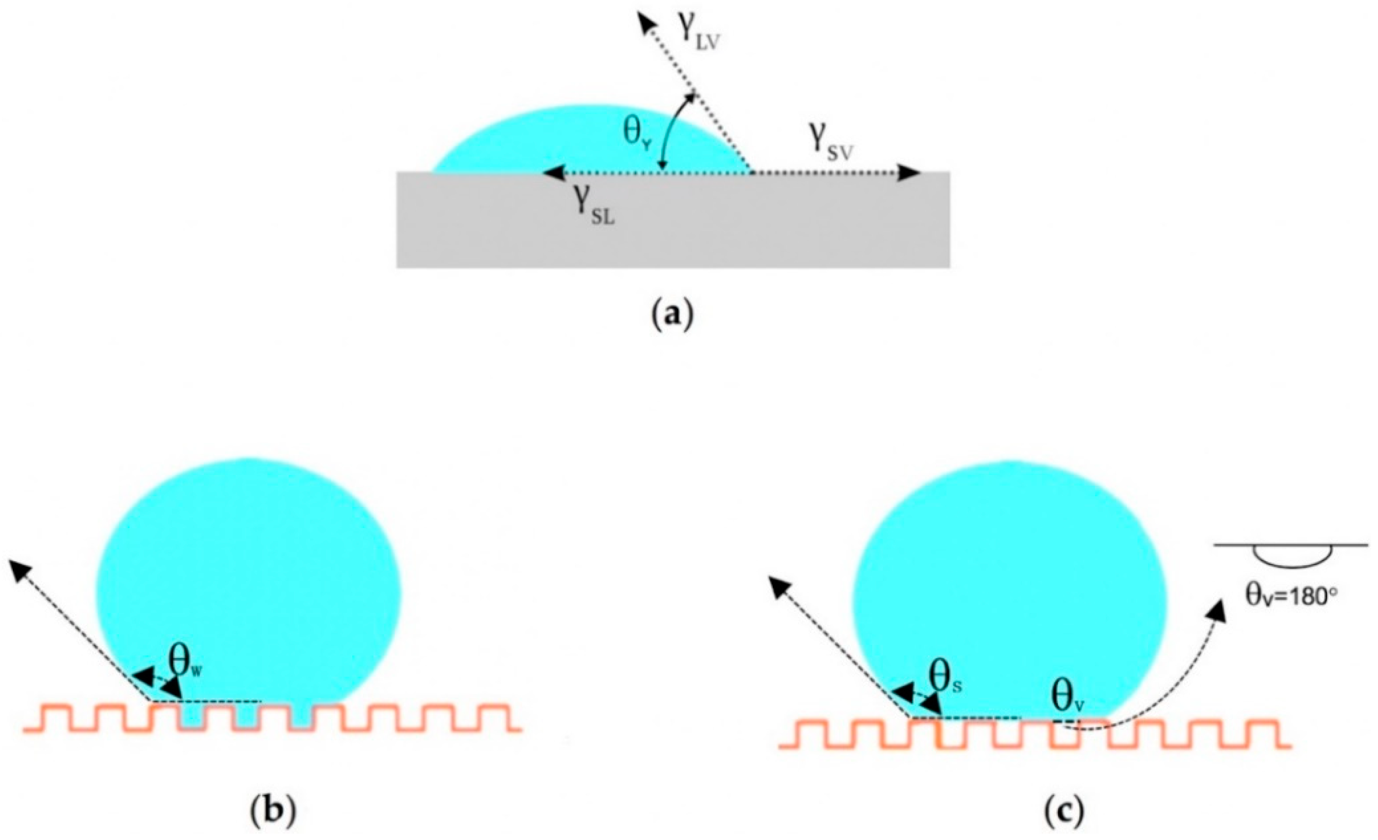 Coatings 10 00353 g002