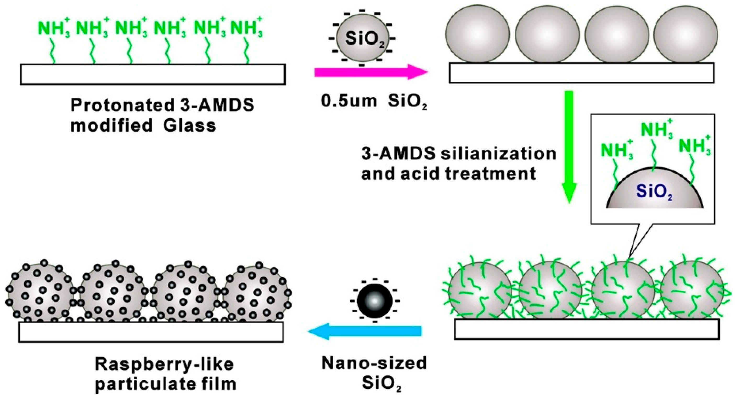 Coatings 10 00353 g004