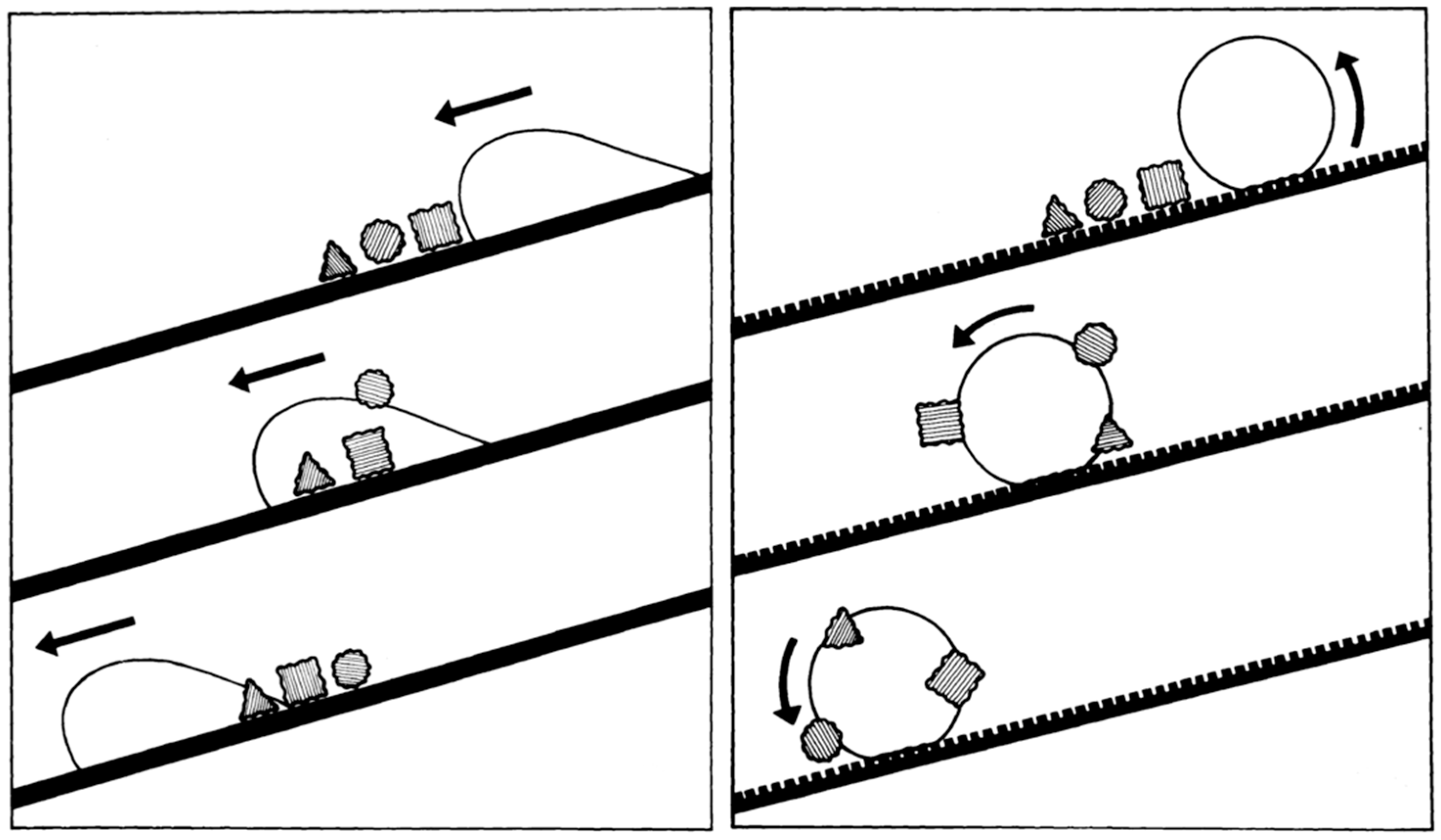 Coatings 10 00353 g005