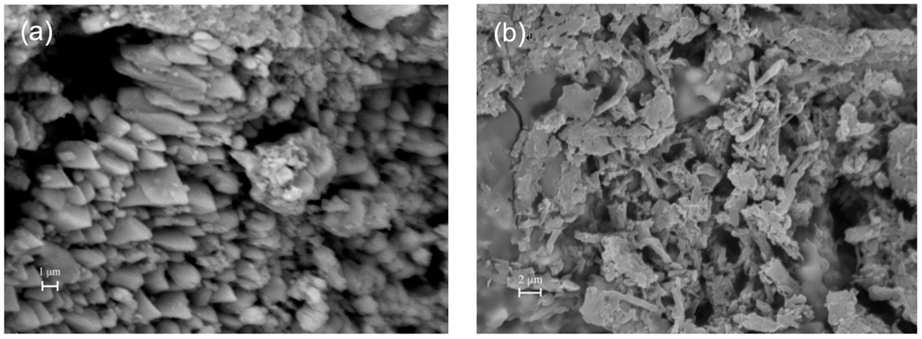 Coatings 10 00353 g009