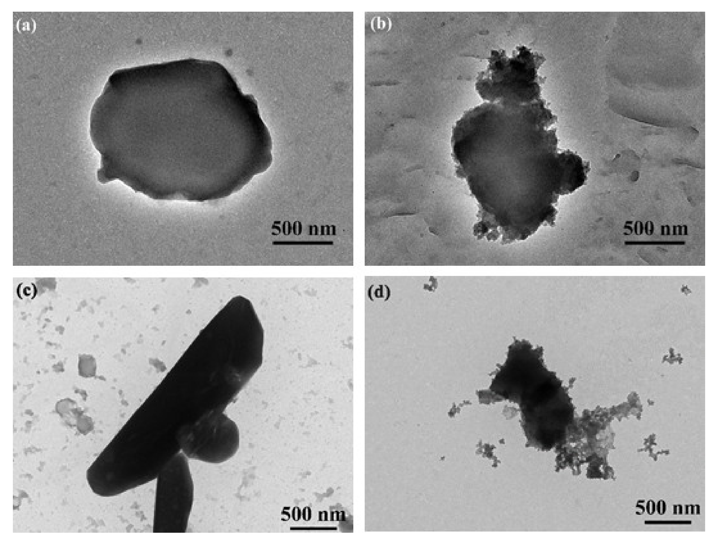 Coatings 10 00359 g001