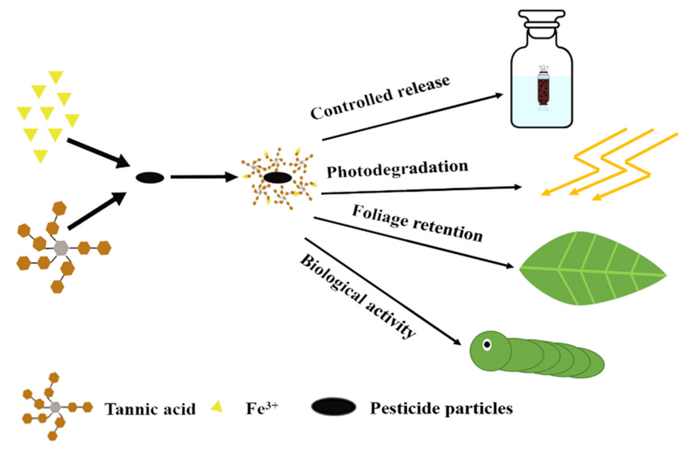 Coatings 10 00359 sch002