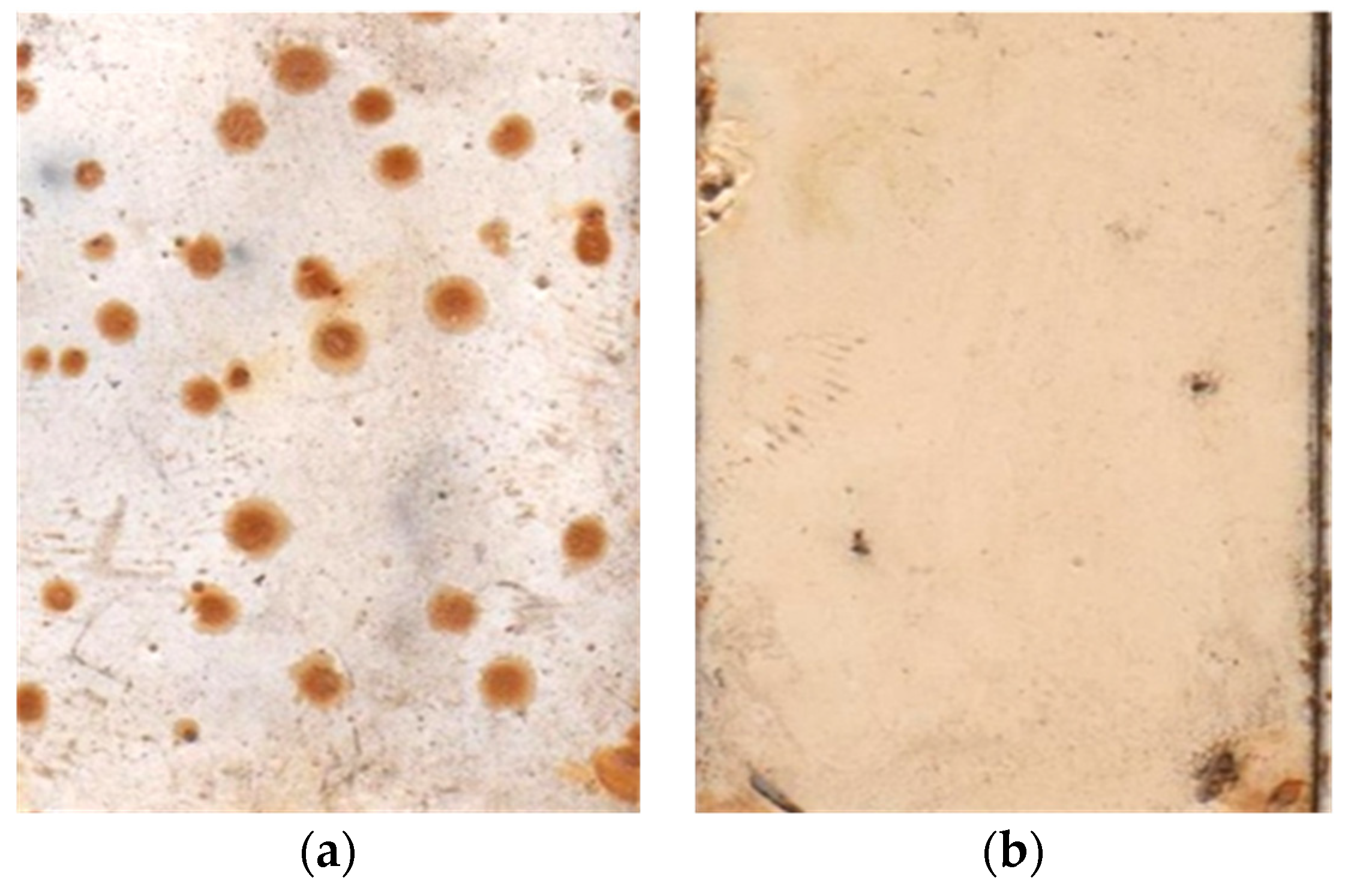 Coatings 10 00362 g010 Coatings 10 00362 g010