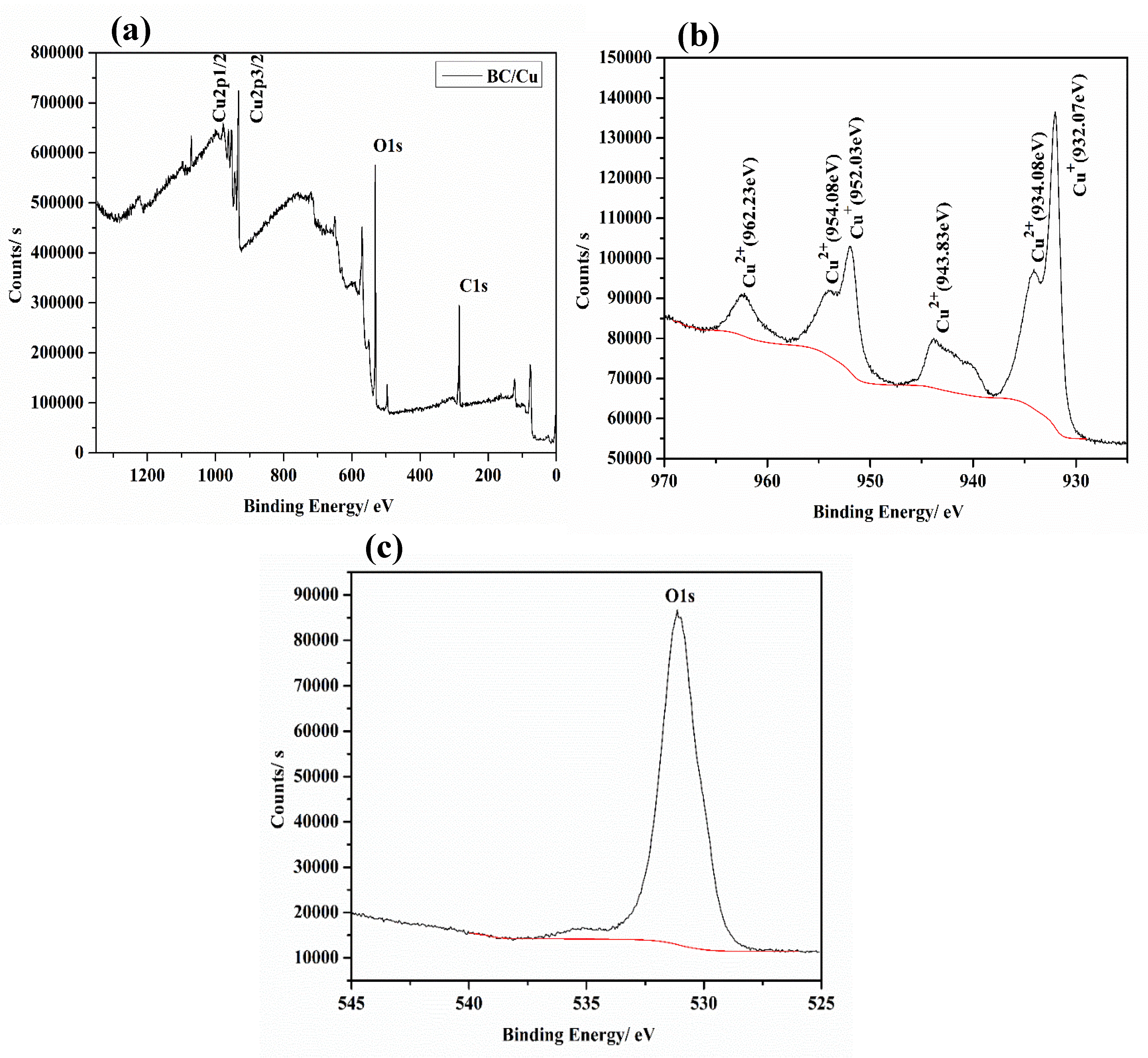 Coatings 10 00364 g003 Coatings 10 00364 g003