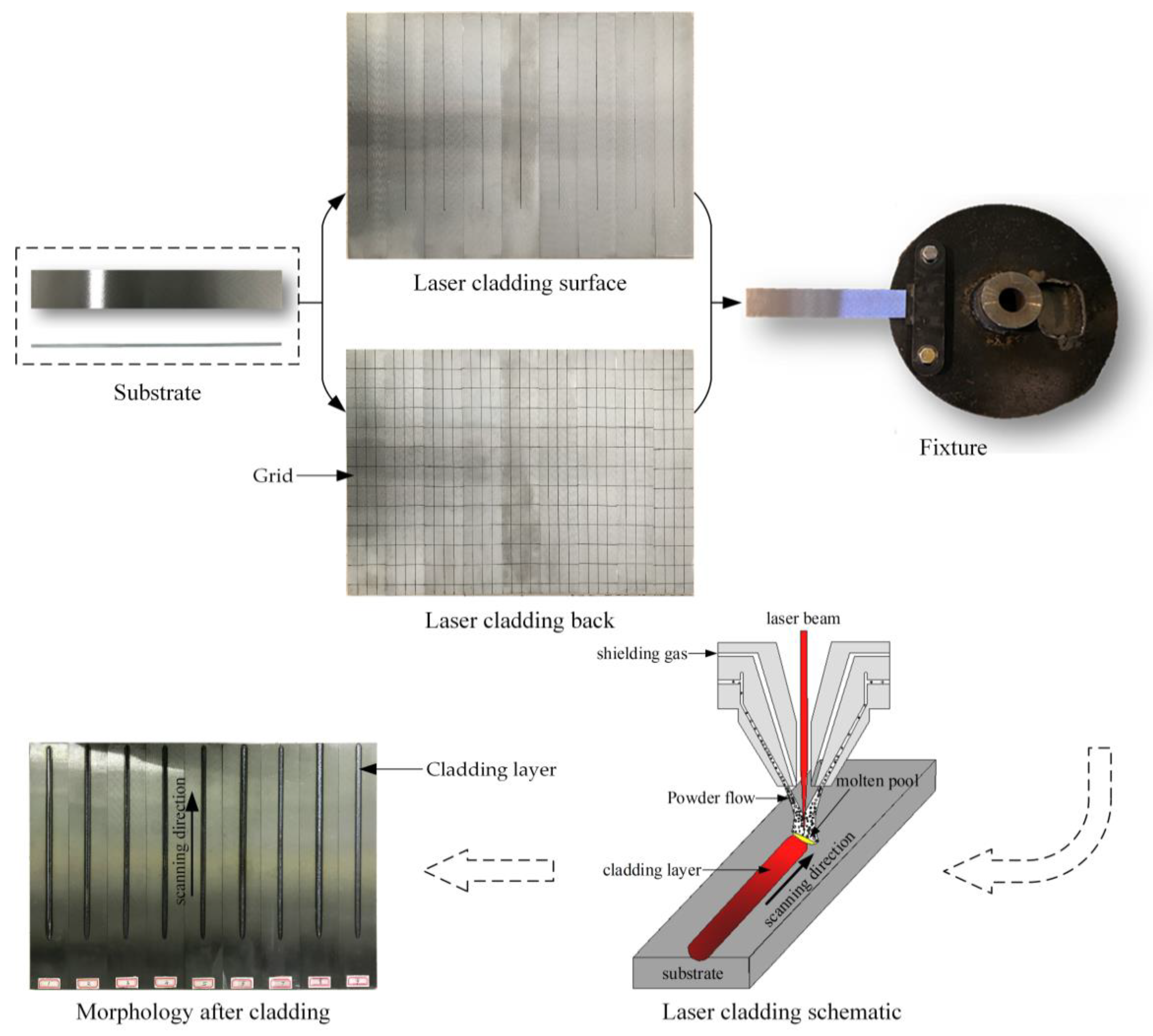 Coatings 10 00369 g002