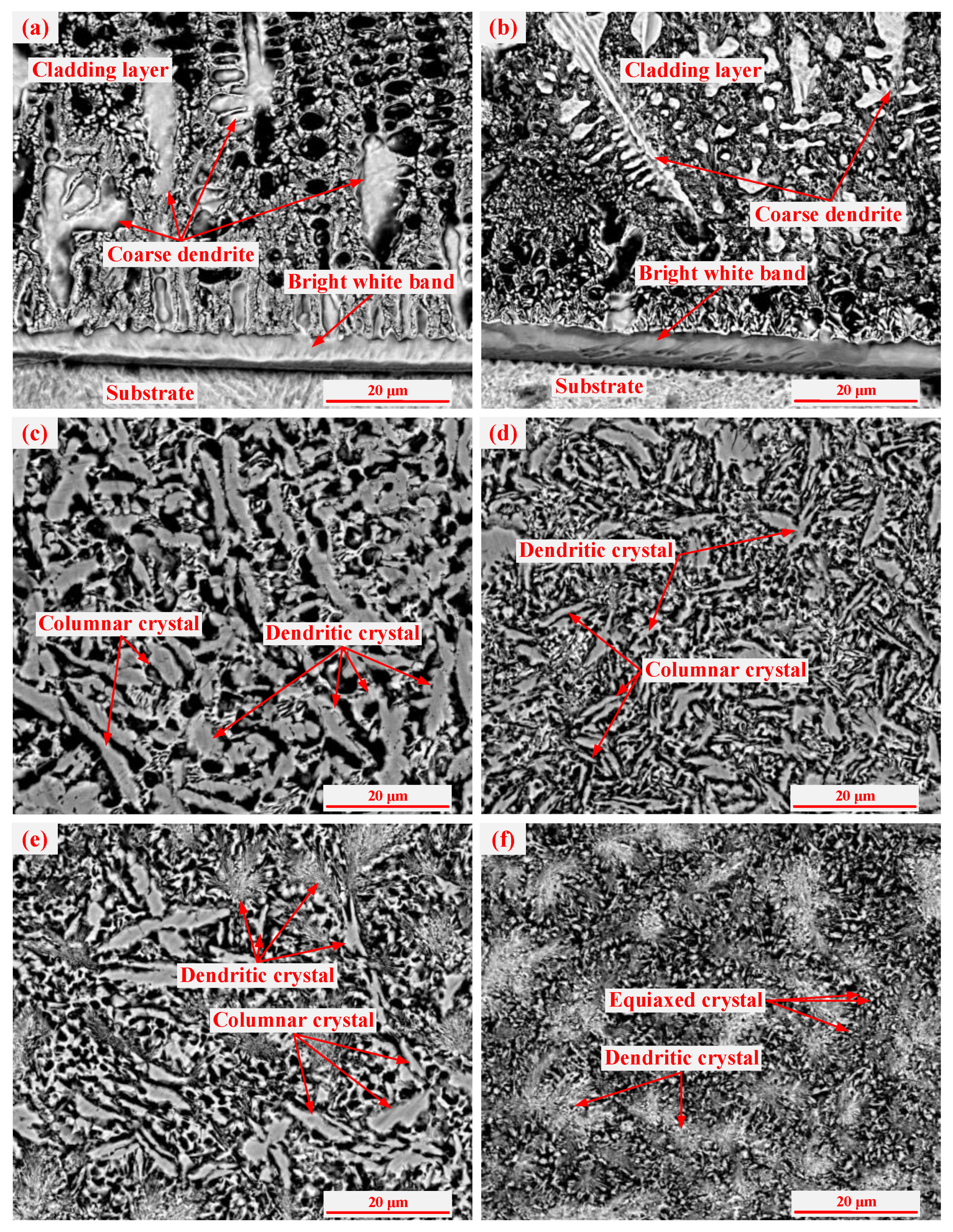 Coatings 10 00369 g008