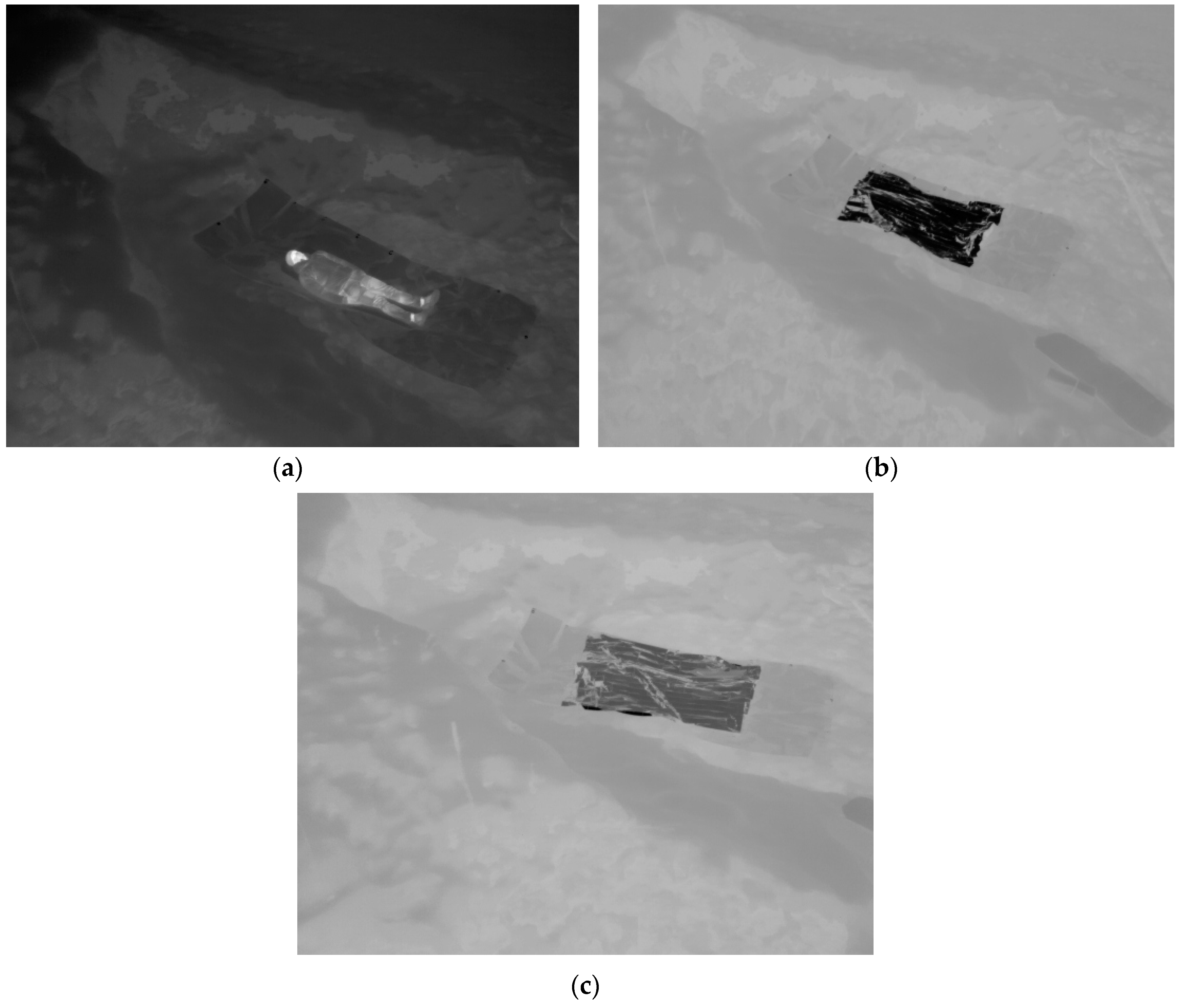 Coatings 10 00375 g002