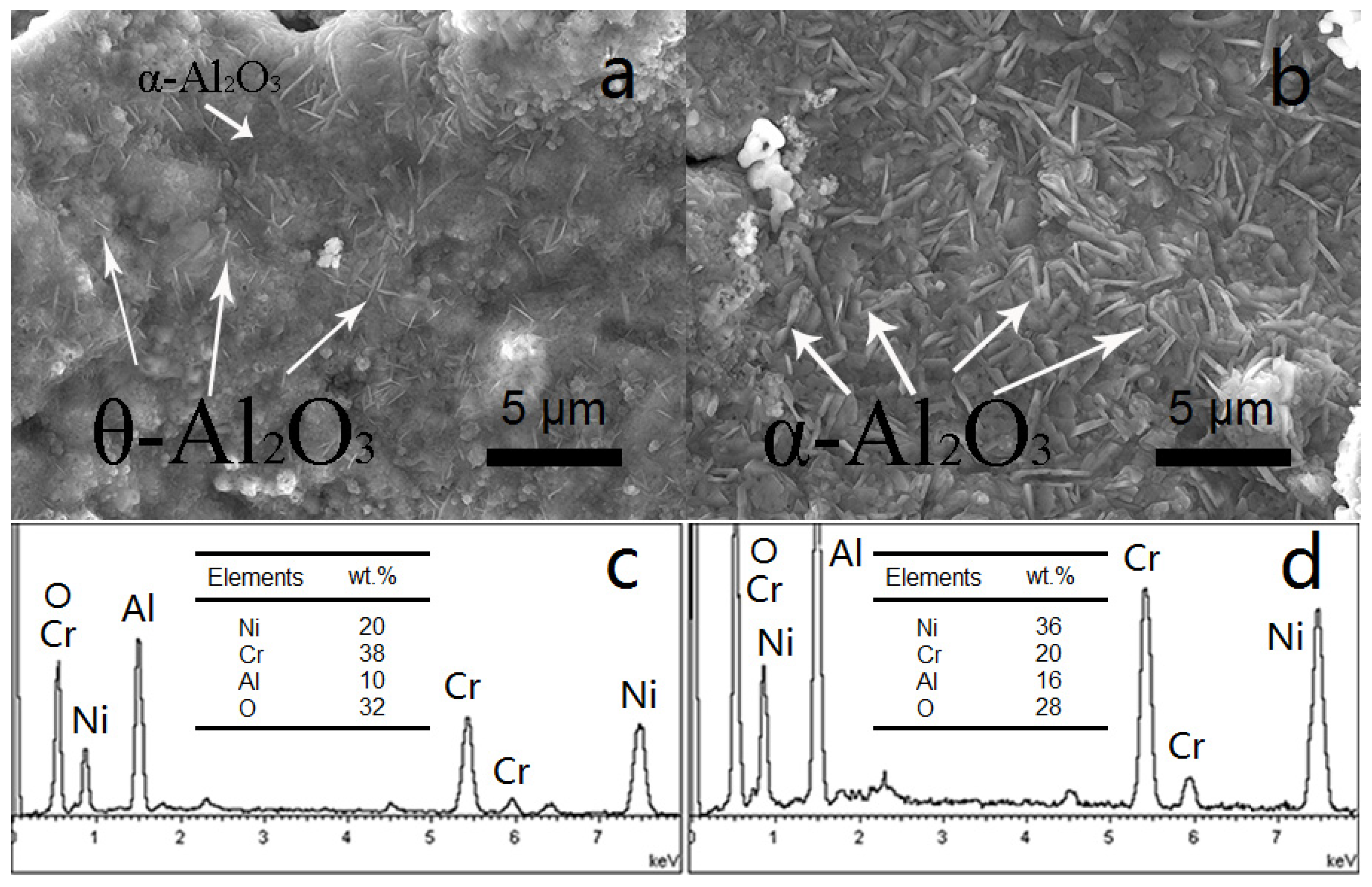 Coatings 10 00376 g005