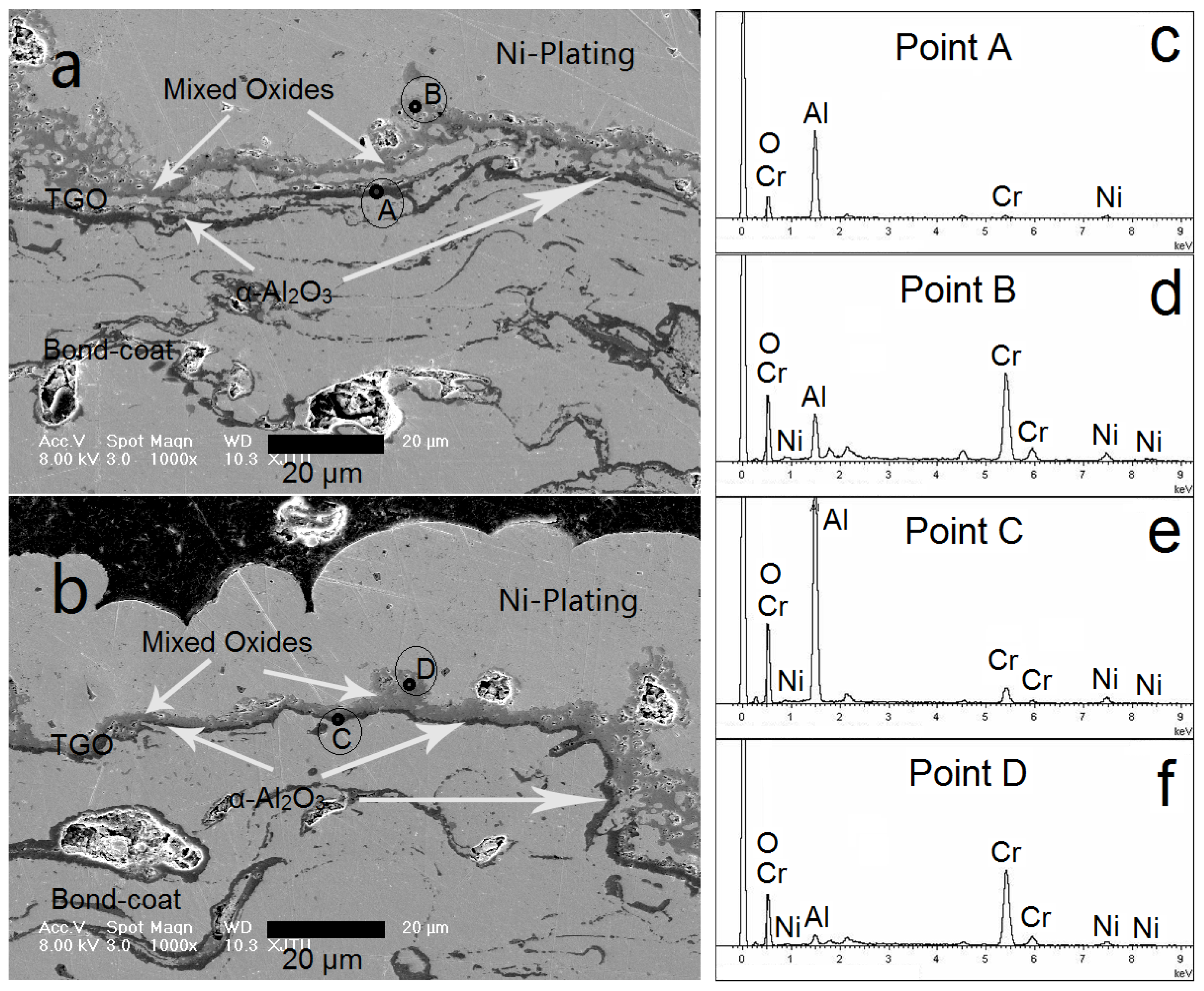 Coatings 10 00376 g007