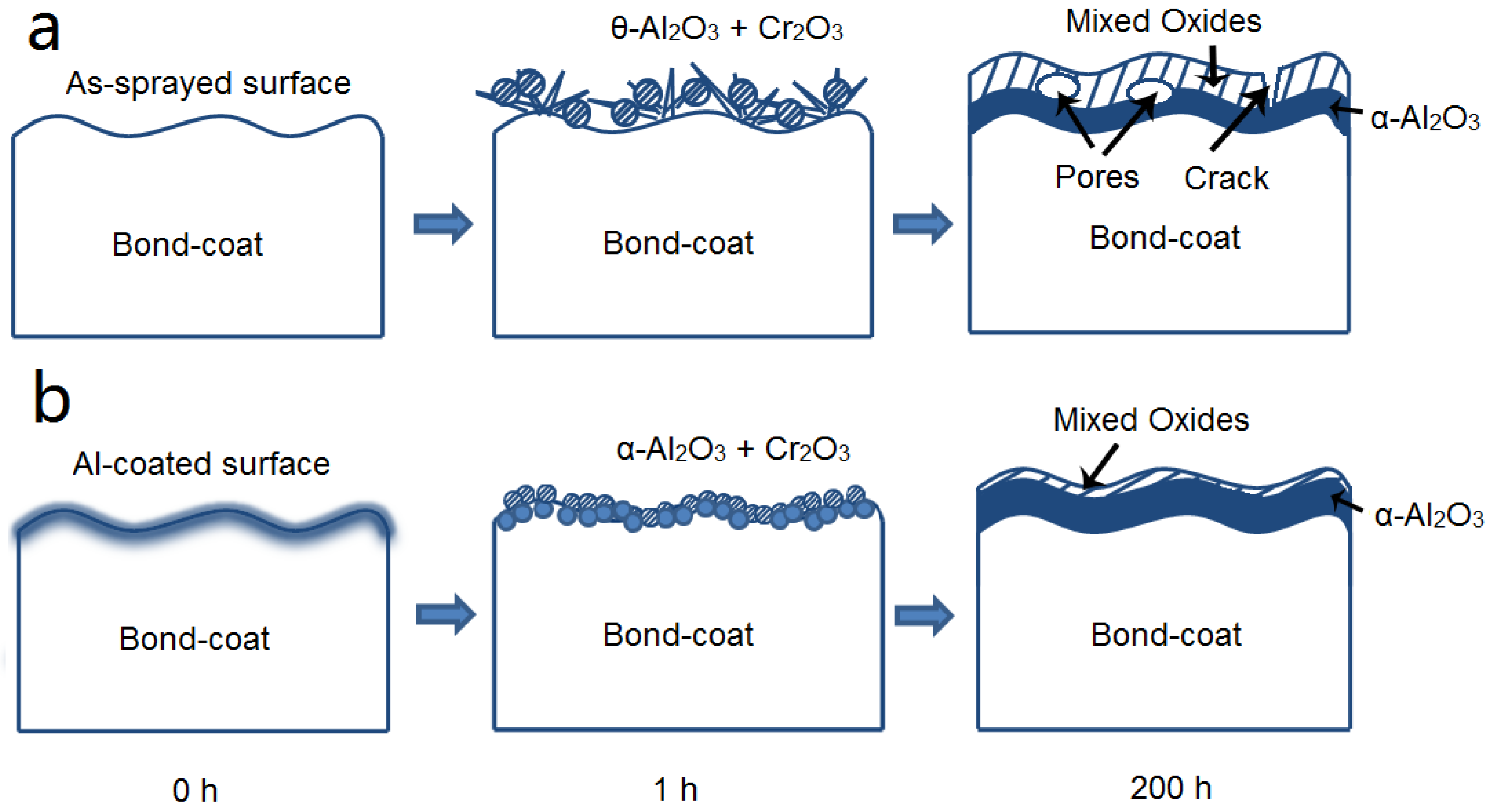 Coatings 10 00376 g010