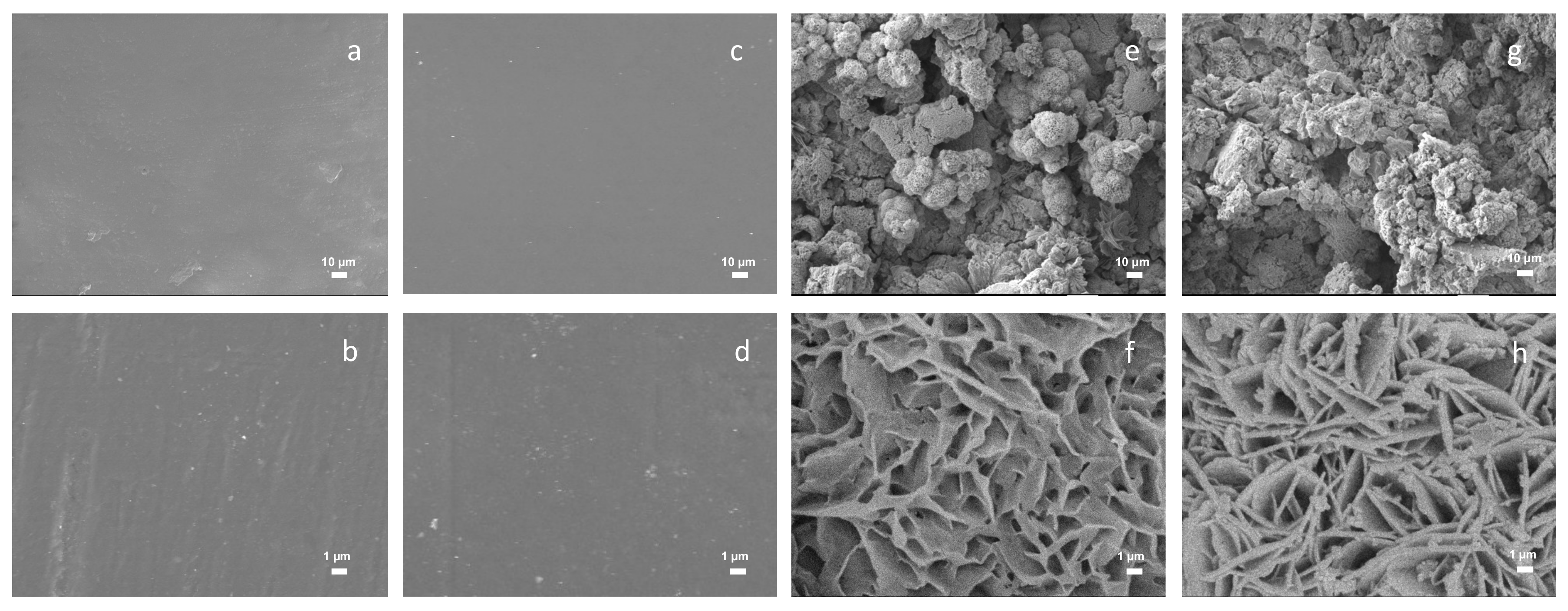 Coatings 10 00377 g005