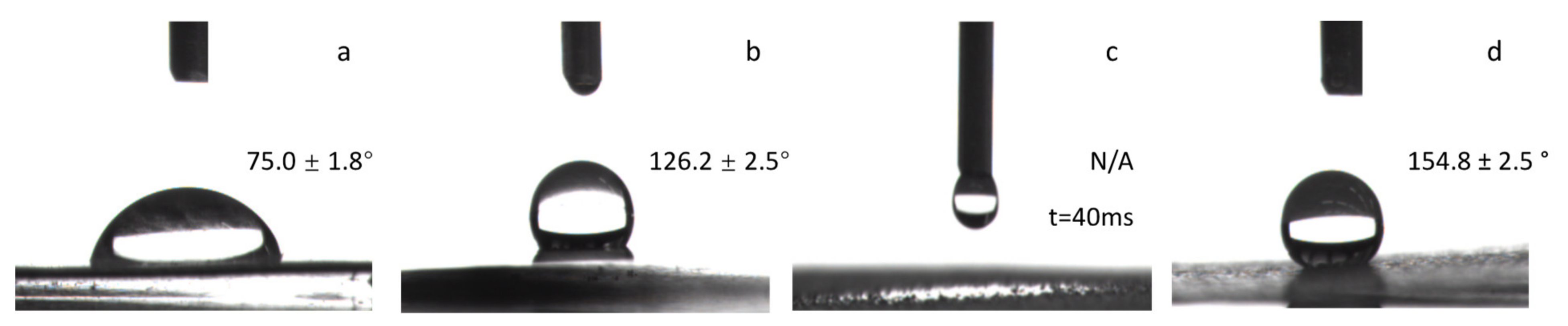 Coatings 10 00377 g006