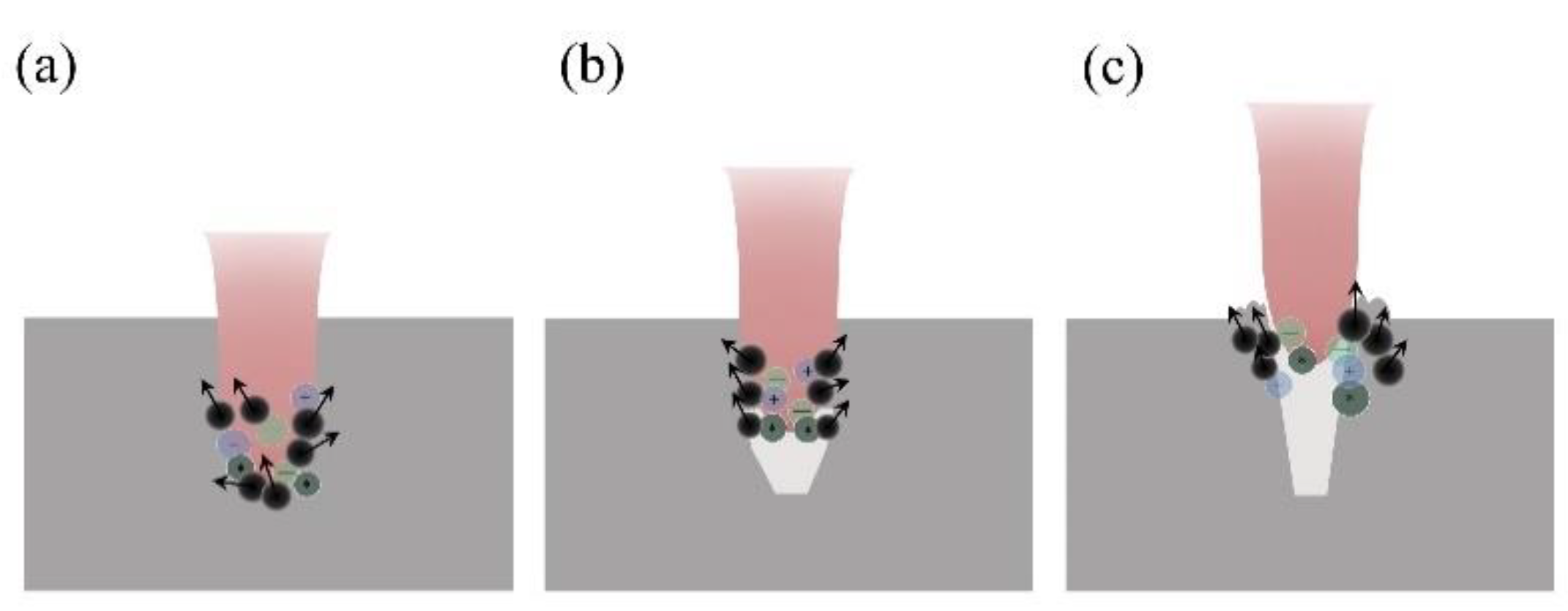 Coatings 10 00386 g012