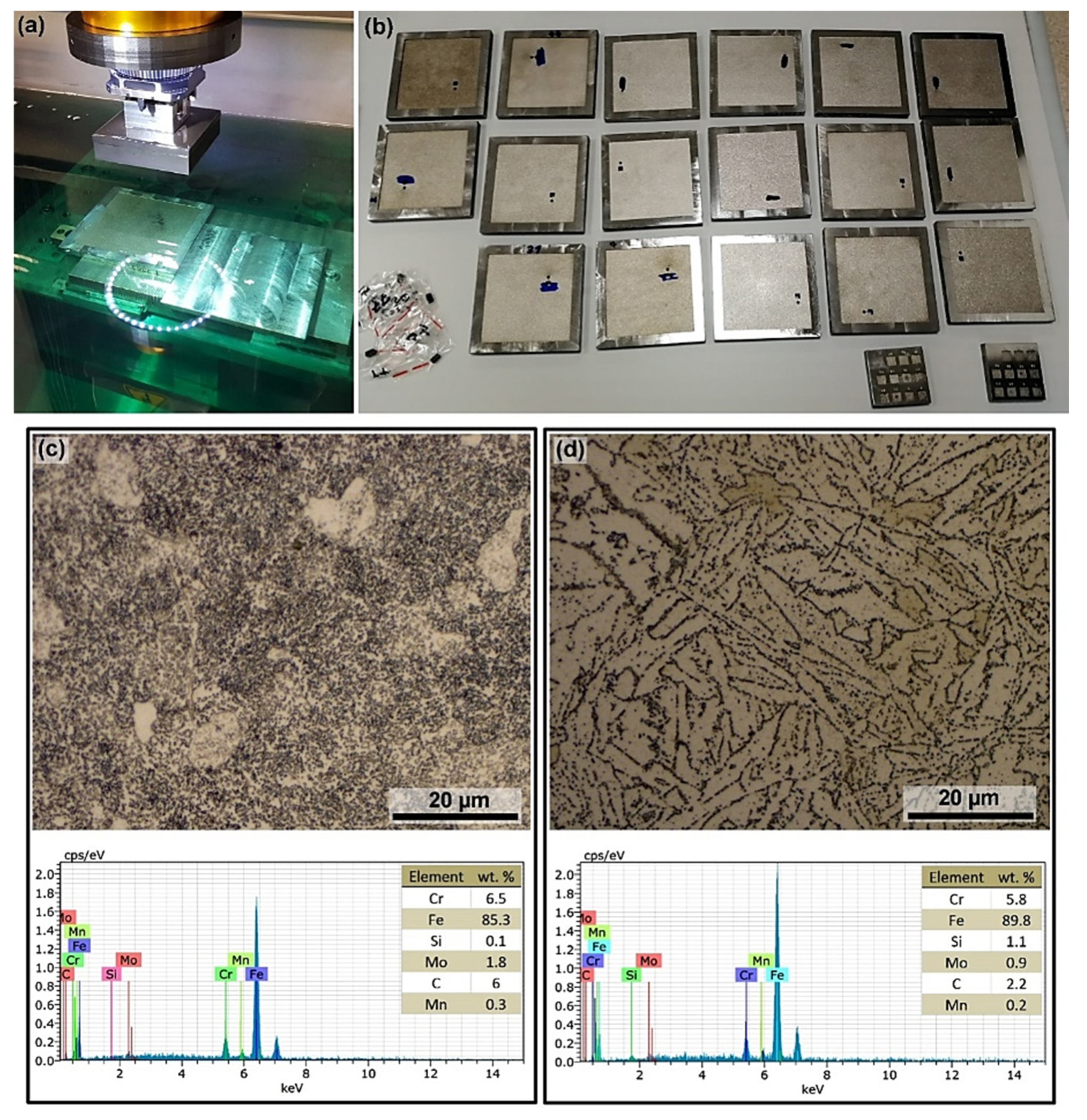 Coatings 10 00406 g001