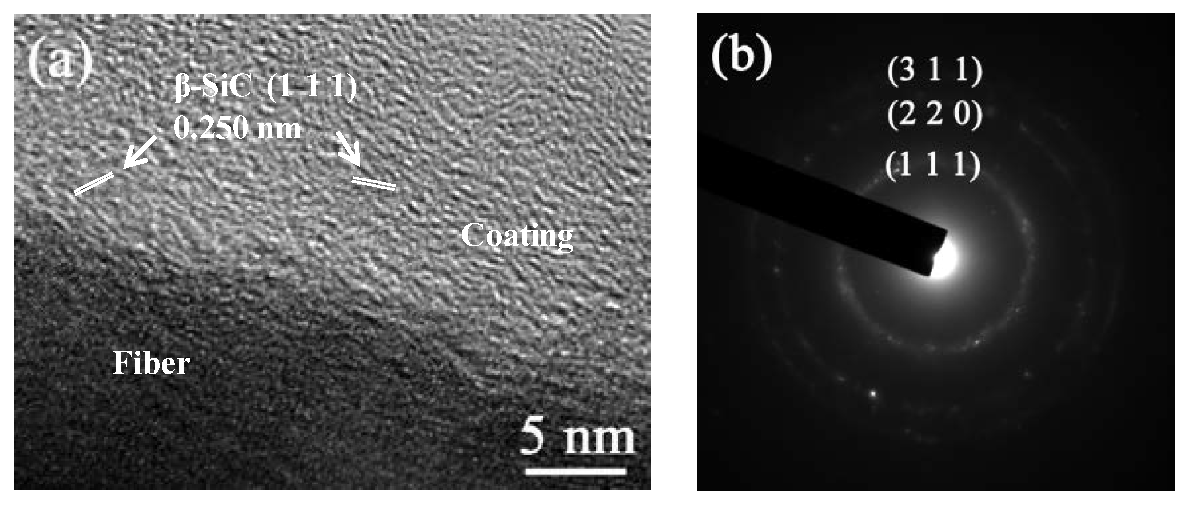 Coatings 10 00408 g005